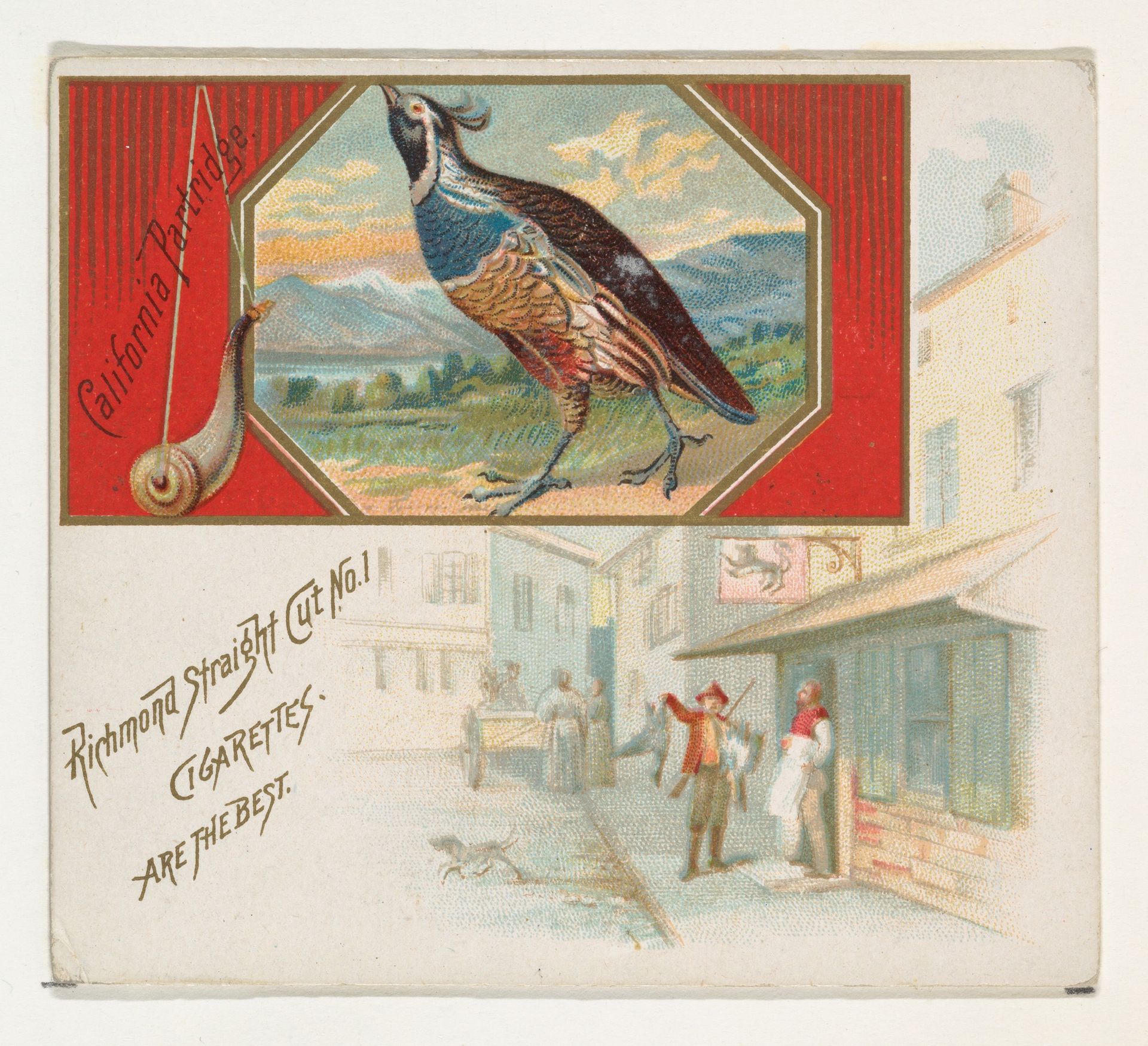 California Partridge, from the Game Birds series (N40) for Allen & Ginter Cigarettes by Allen & Ginter