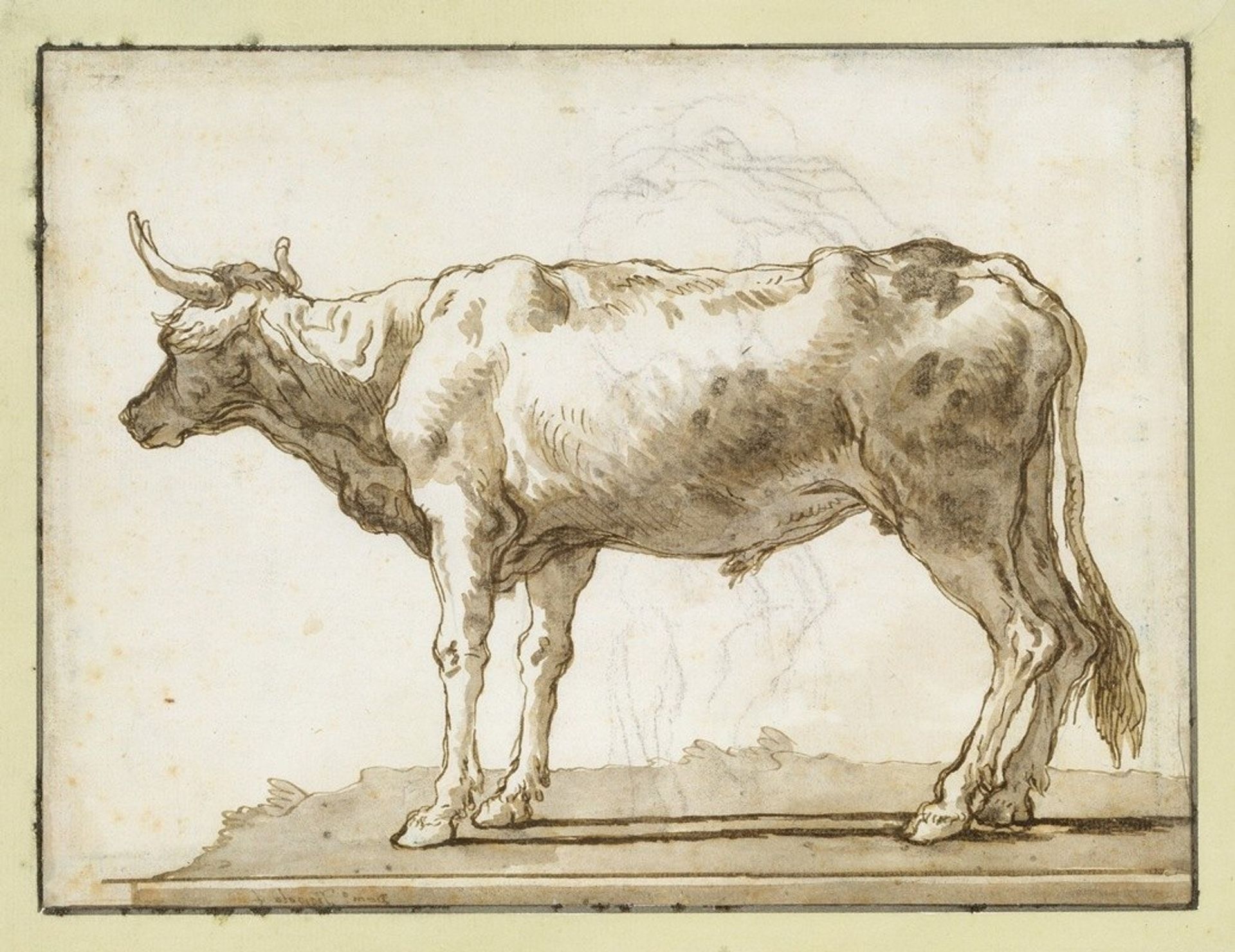 A Bullock Standing to the Right by Giovanni Domenico Tiepolo
