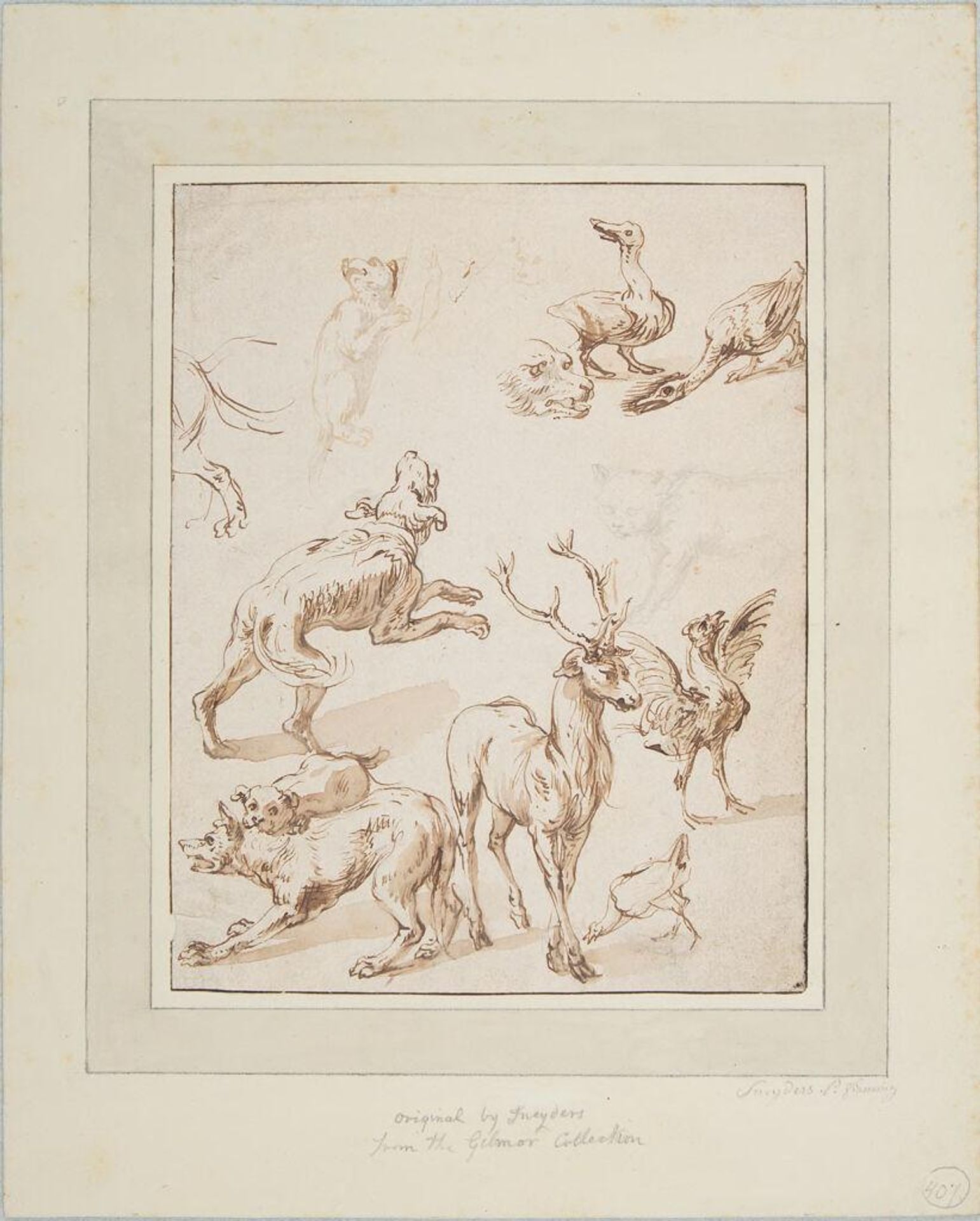 Sketches of Animals by Frans Snyders