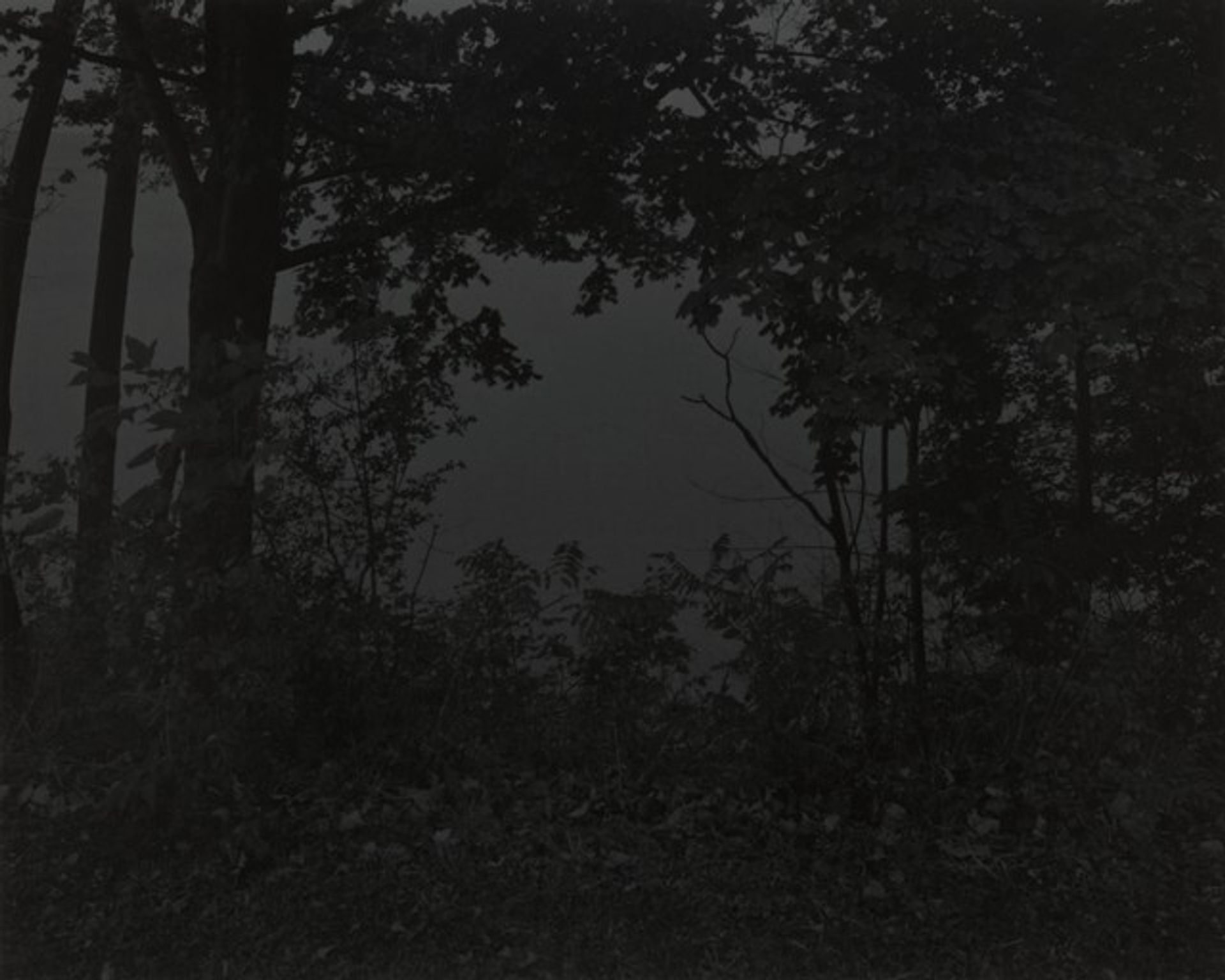 Untitled #16 (At Lake Erie) by Dawoud Bey
