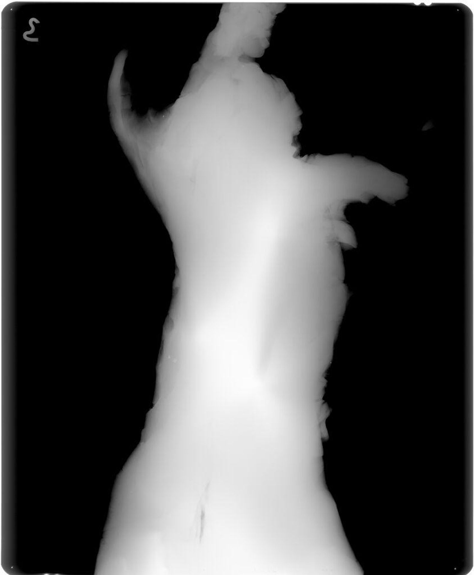 X-radiograph(s) of "Angel with Crown of Thorns" by Artist of original: Gian Lorenzo Bernini