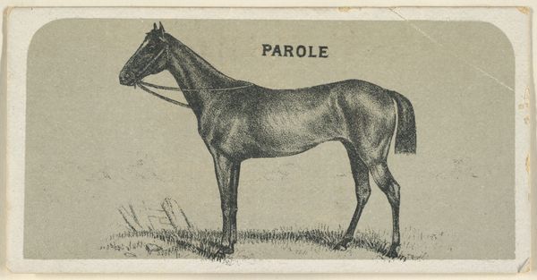 Slide 10