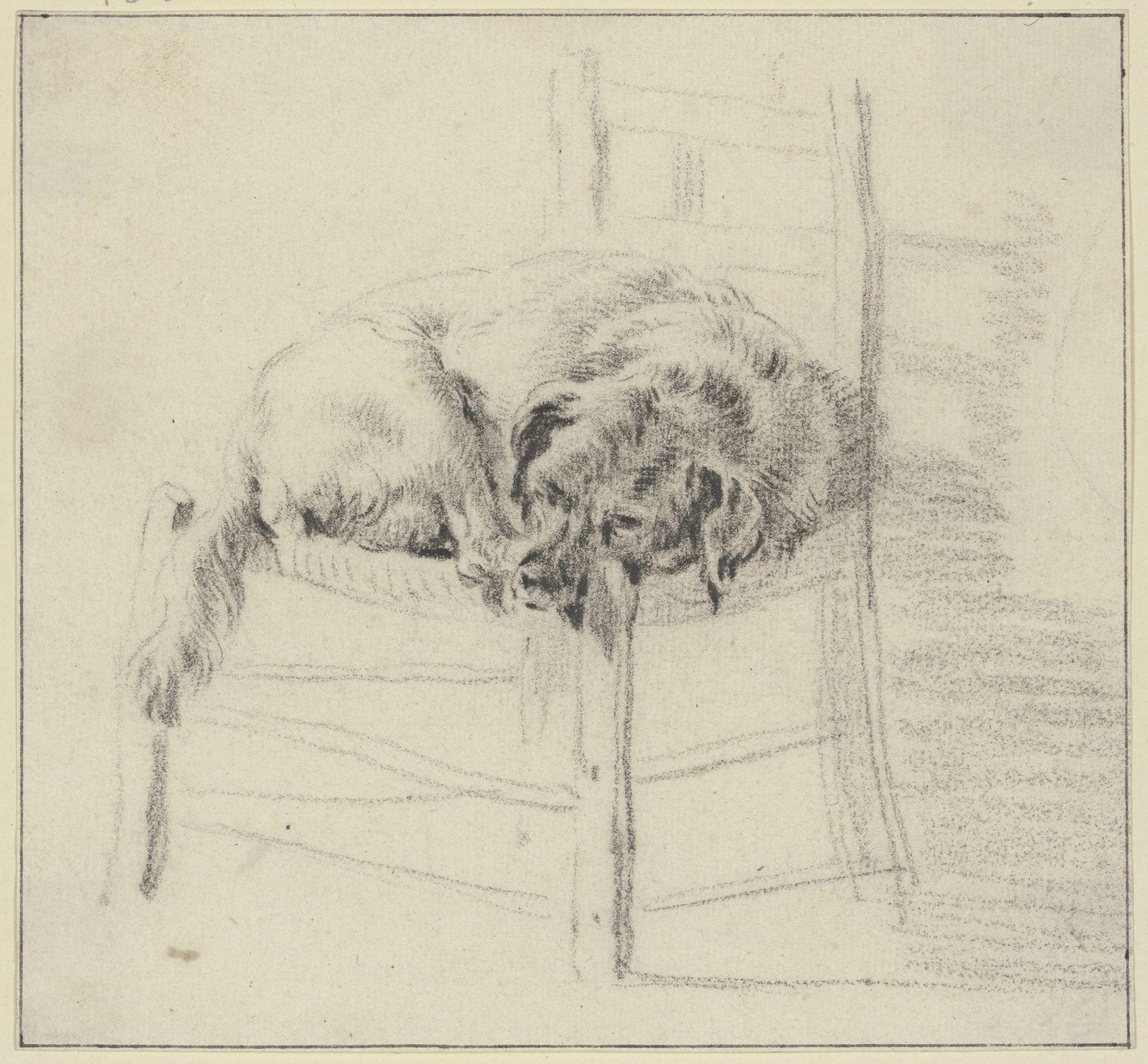 Ein Hund auf einem Stuhl liegend by Nicolaes Berchem