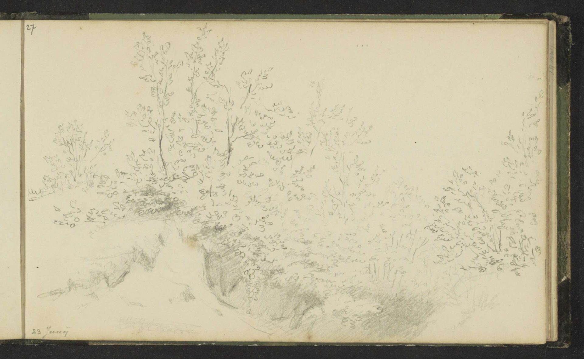 Bomen en struiken by Hendrik Abraham Klinkhamer