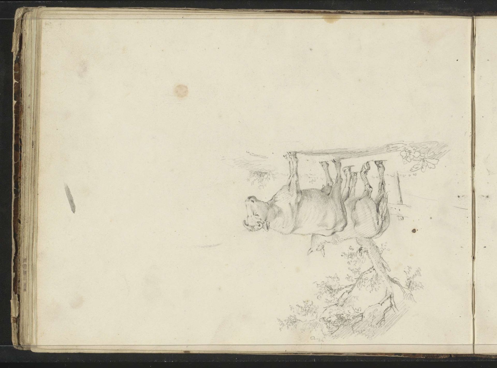 Paard en koe bij een boom by Willem (II) Troost