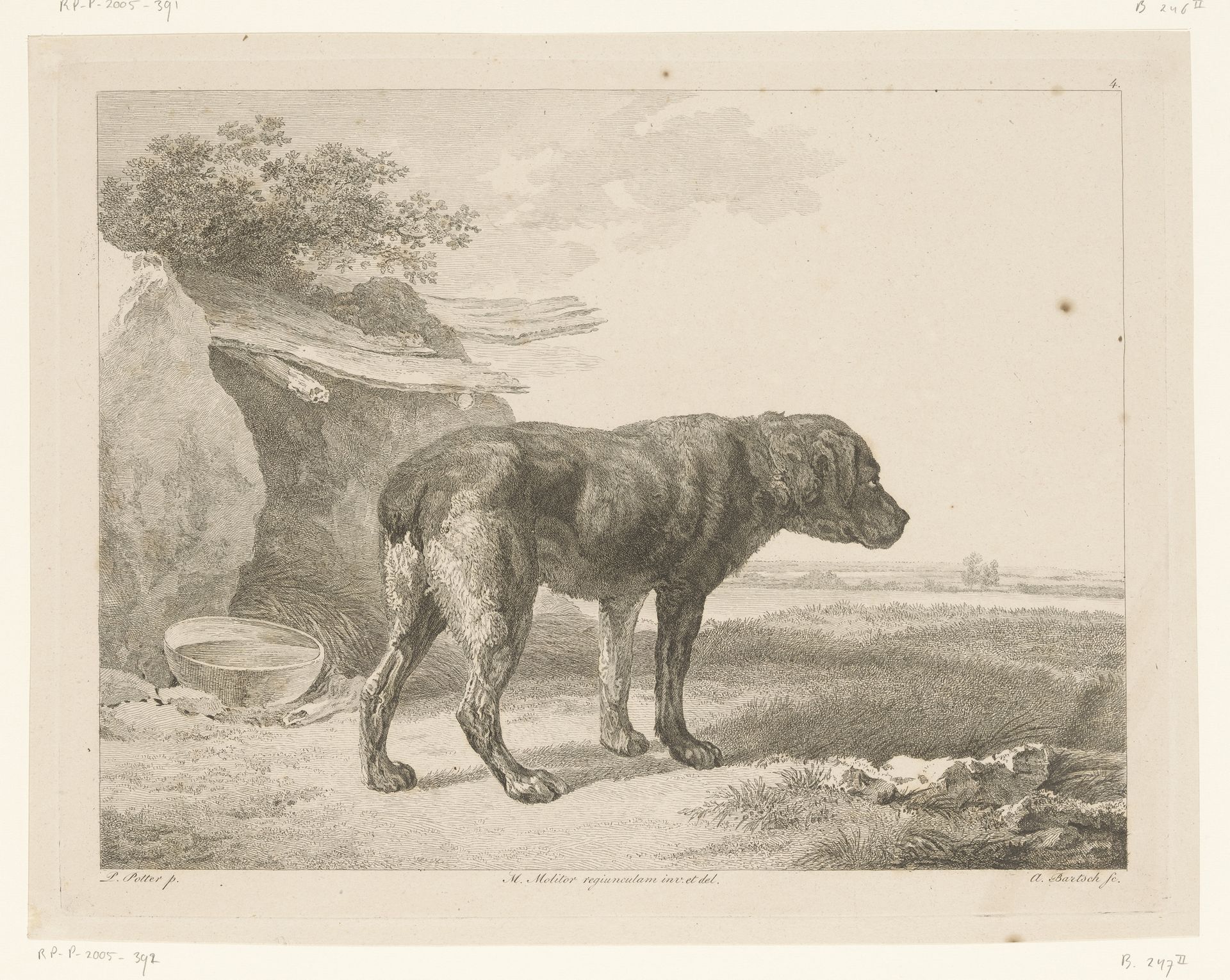 Staande hond in een landschap by Adam von Bartsch