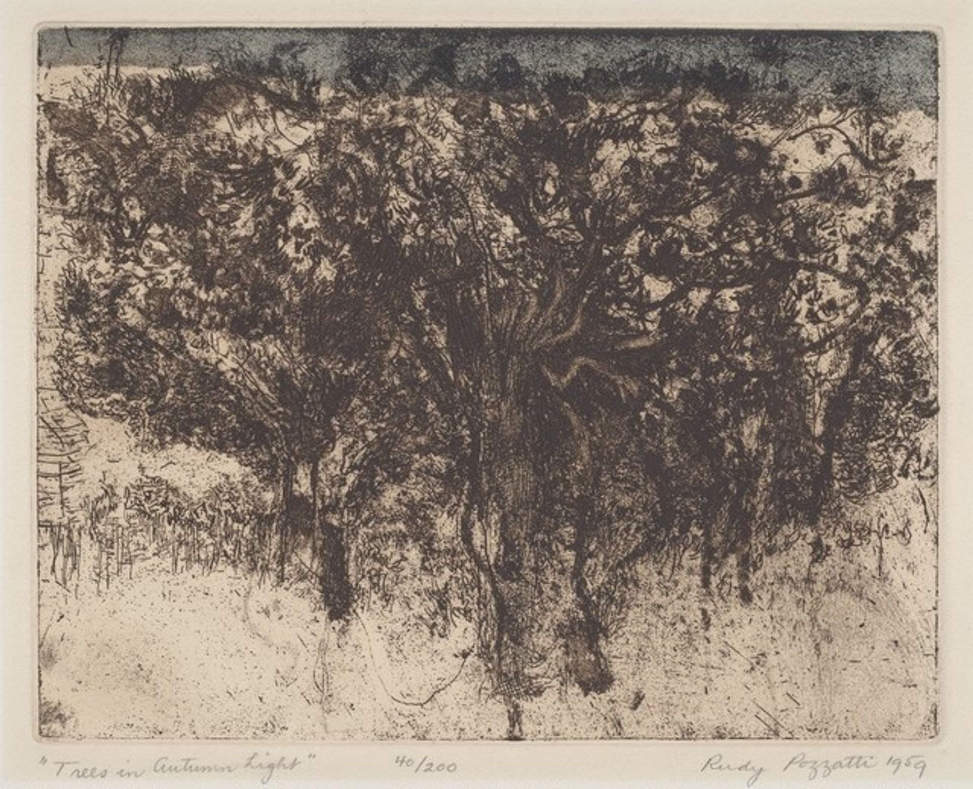 Trees in Autumn Light by Rudy Pozzatti