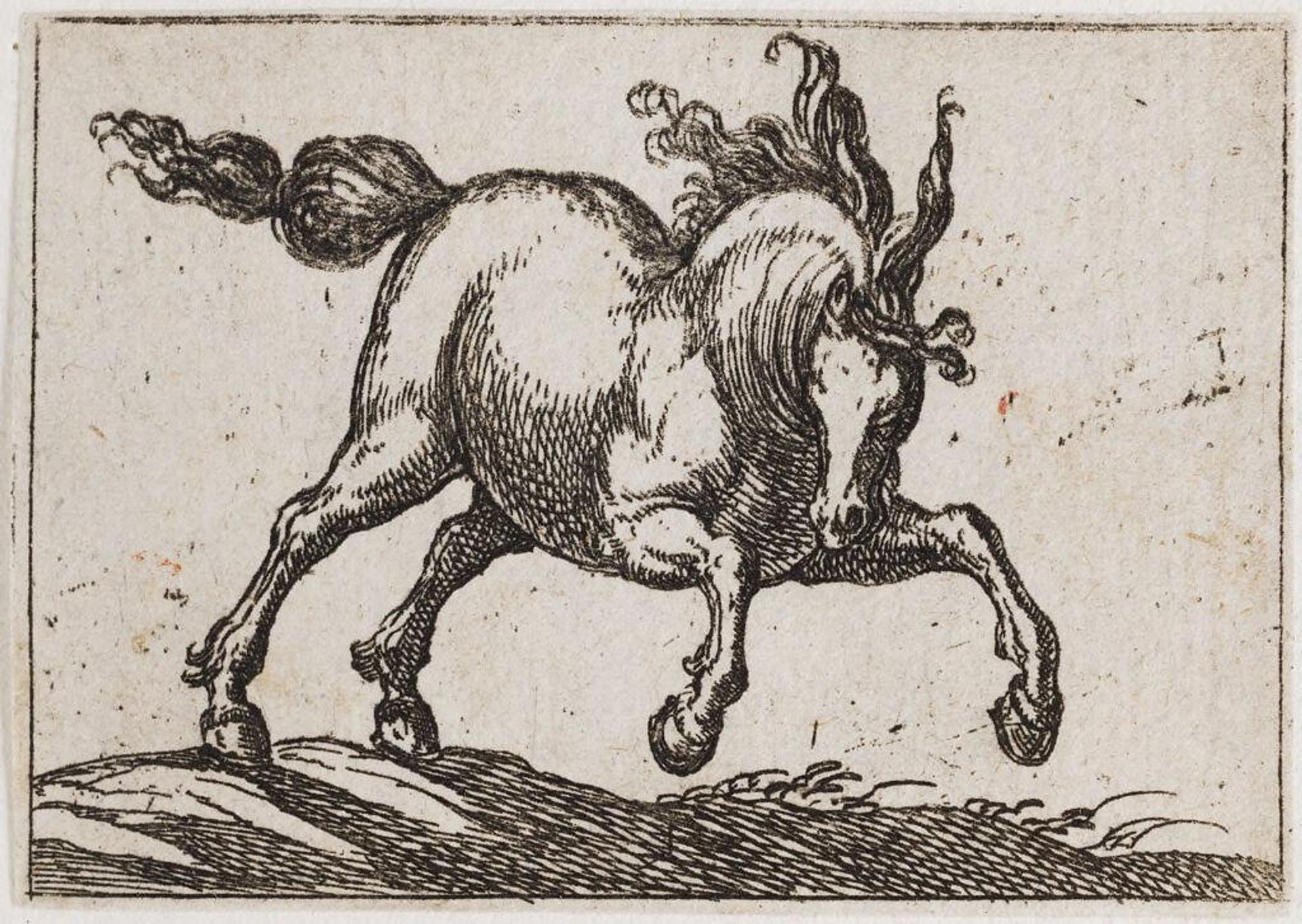Charging Horse Viewed Frontally by Antonio Tempesta
