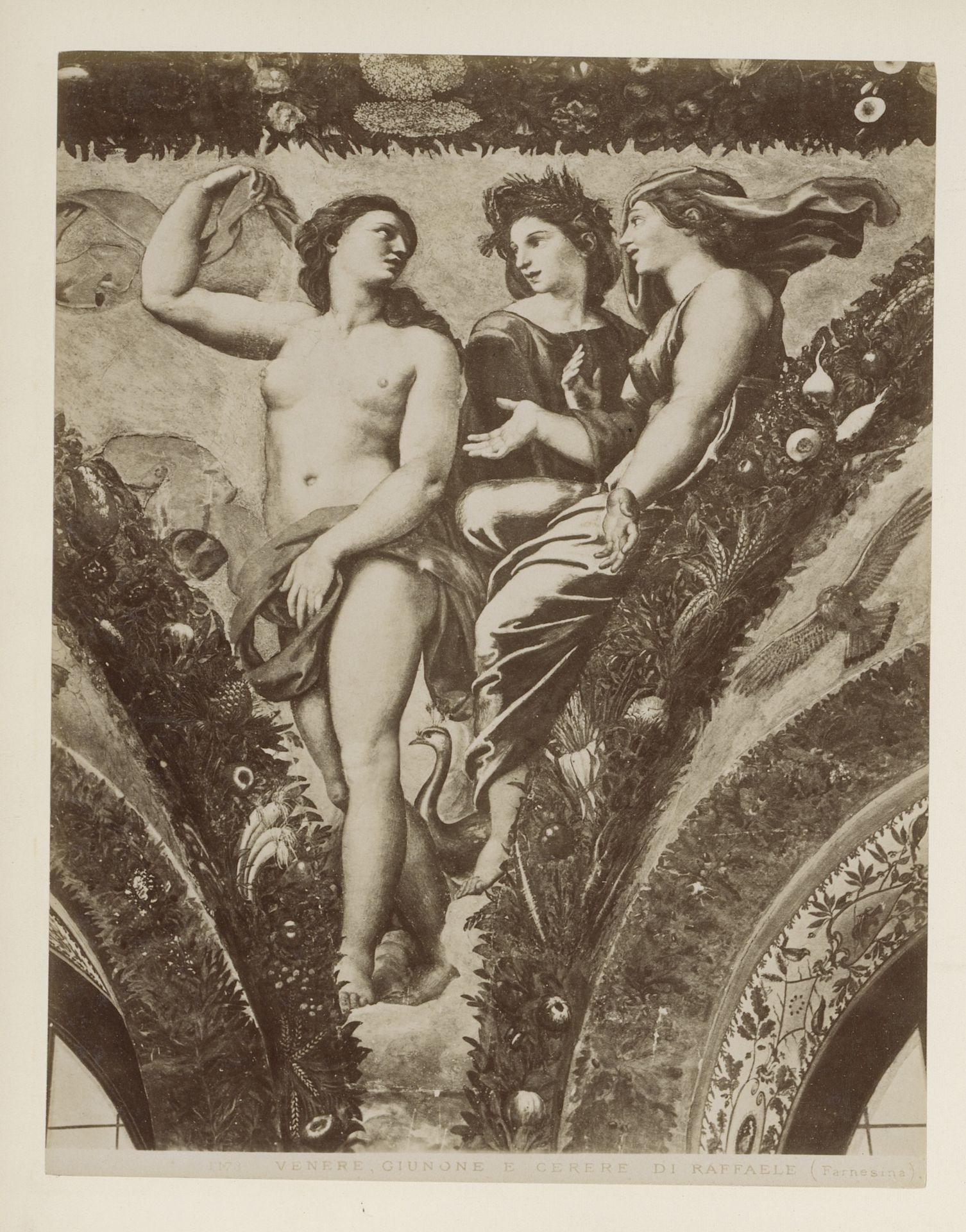 Fotoreproductie van fresco Venus, Ceres en Juno door Rafaël in het Farnesina te Rome by Domenico Anderson