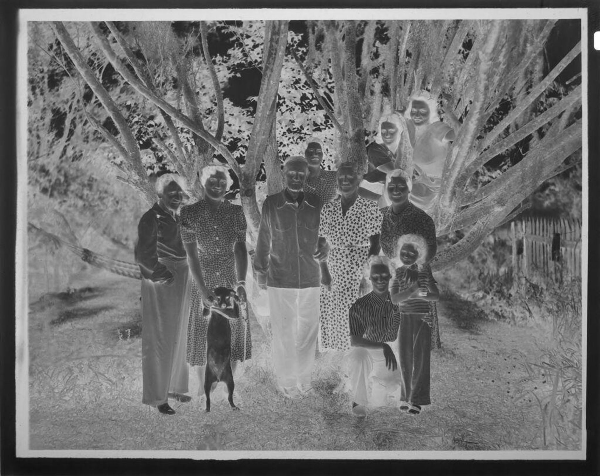 Untitled (family portrait in front of large tree) by C. Bennette Moore