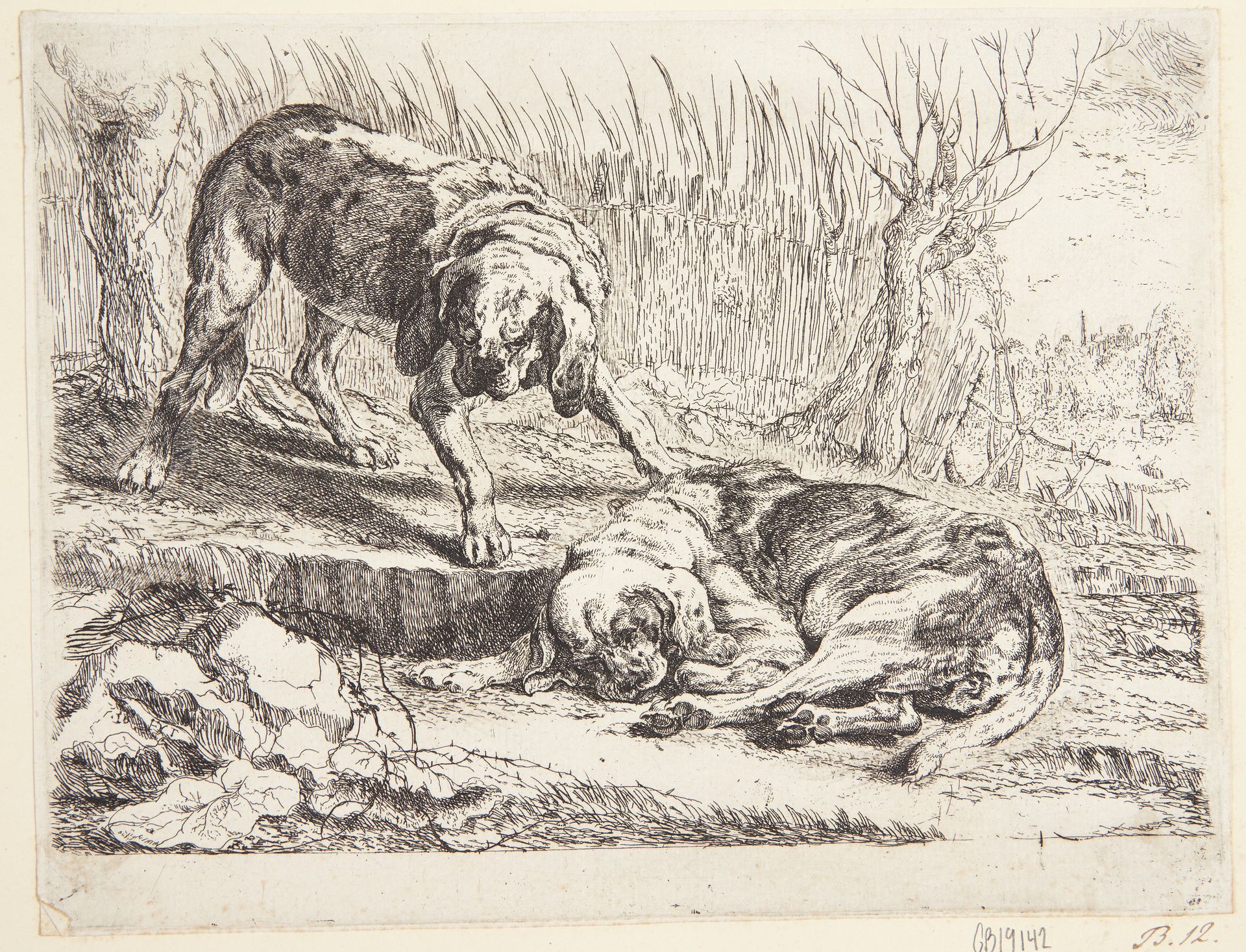 To jagthunde by Joannes Fijt