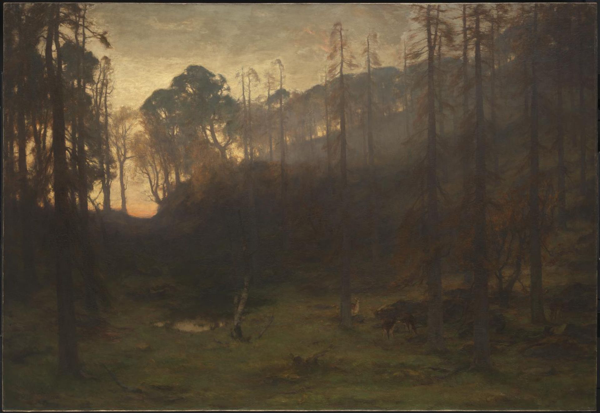 Birnam Wood by  David Farquharson