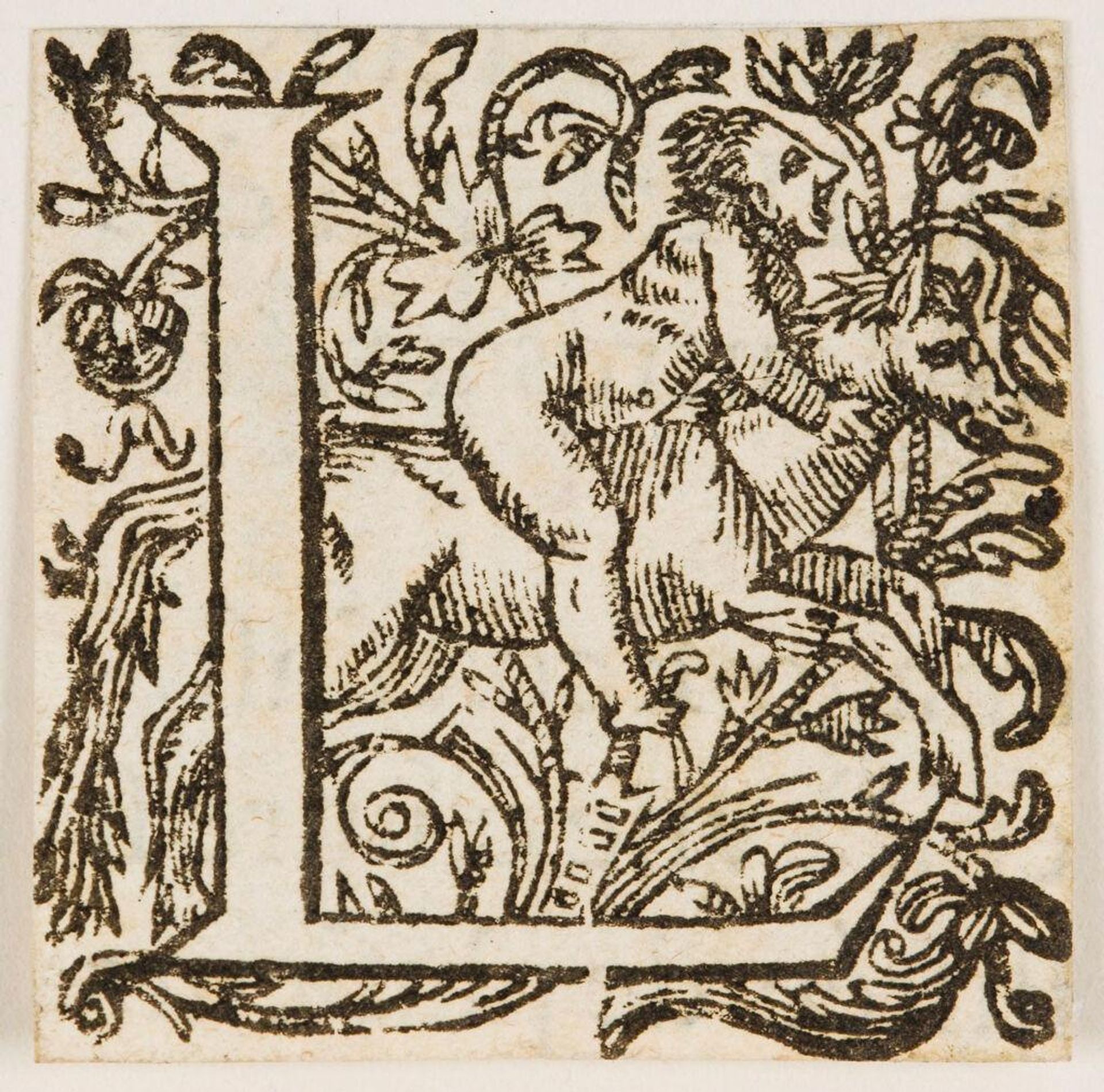 Letter L by Anonymous
