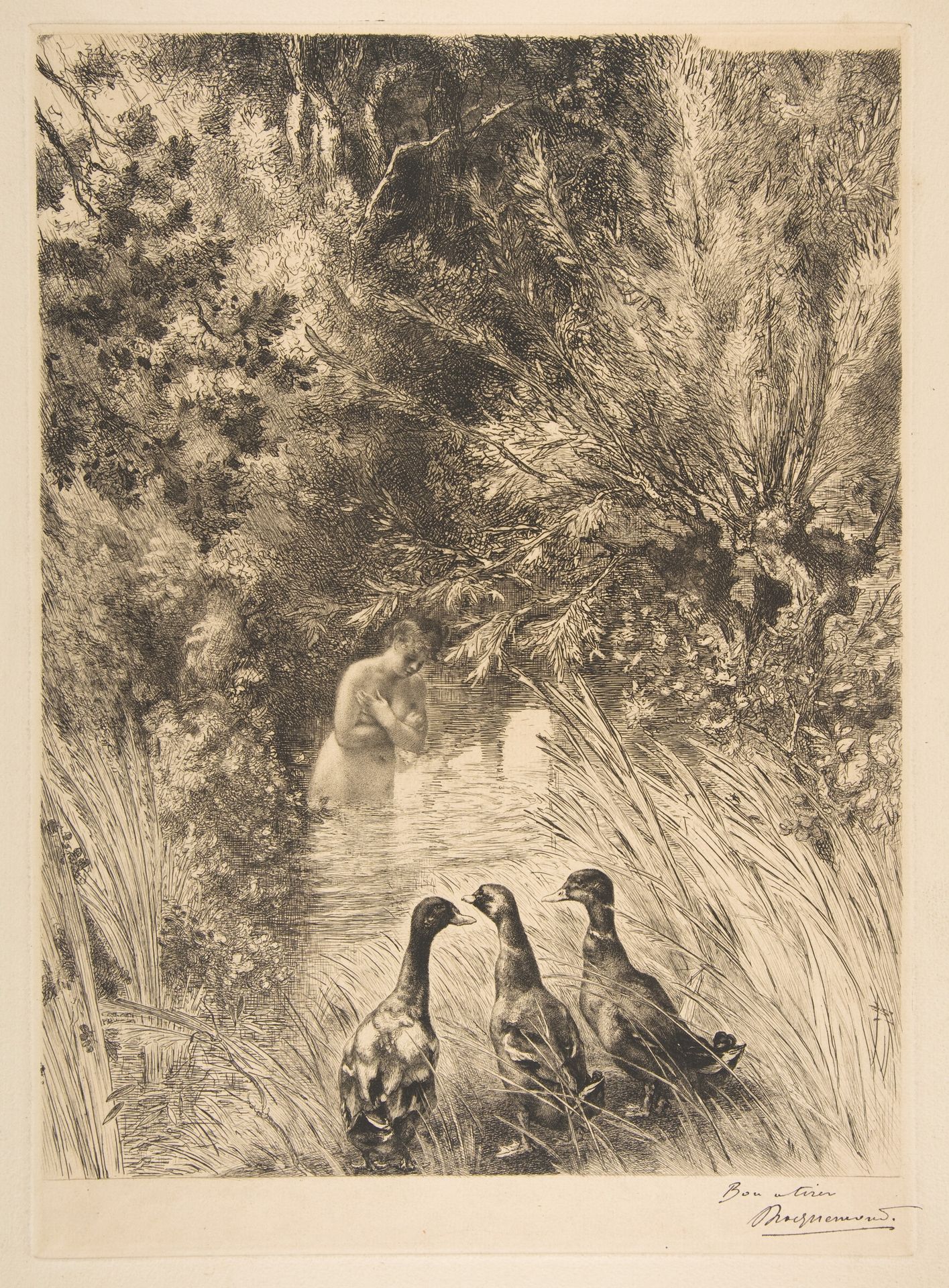 Canards surpris by Félix Bracquemond
