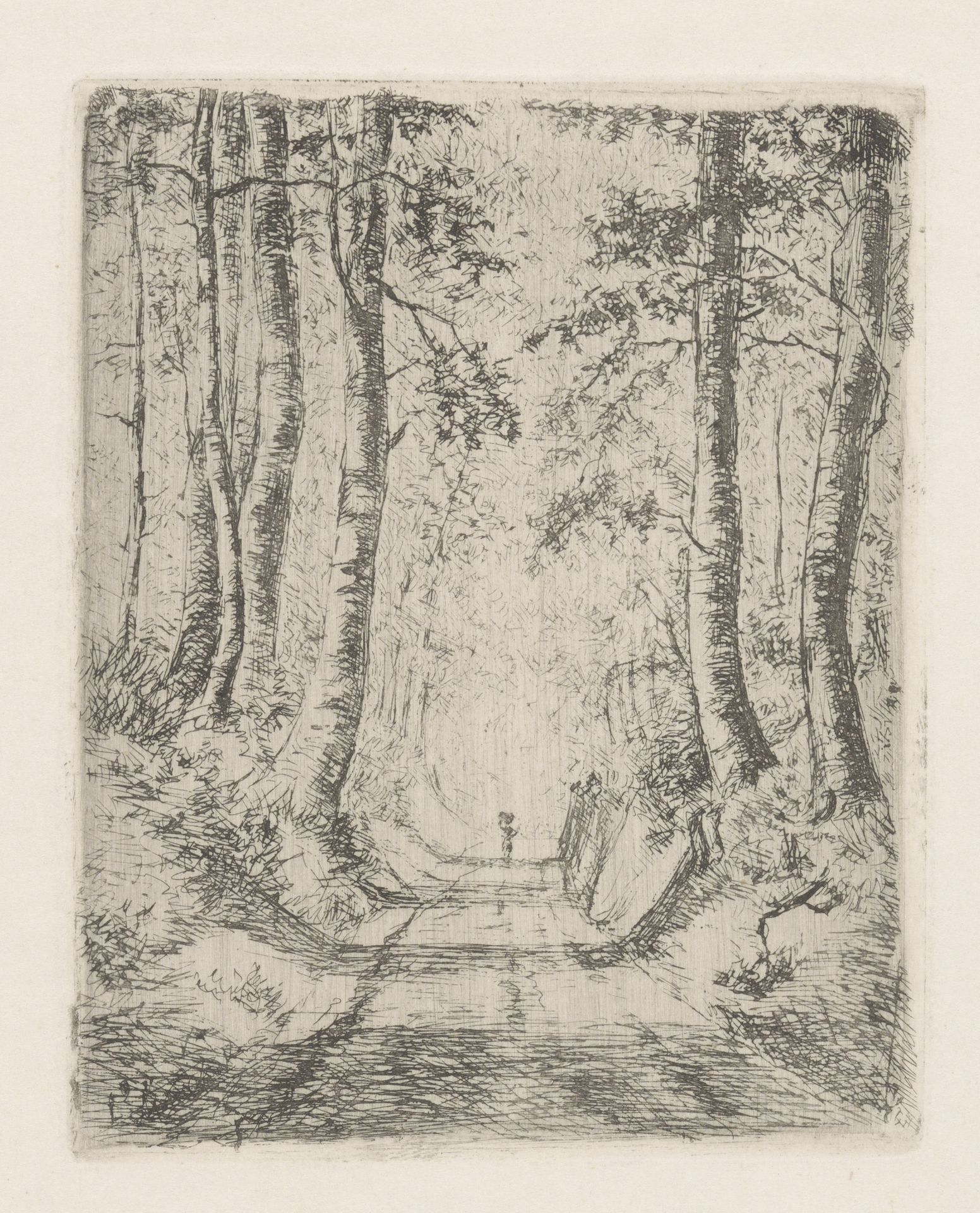 Bos langs een holle weg by Marie Adolphine van der Goes van Dirxland