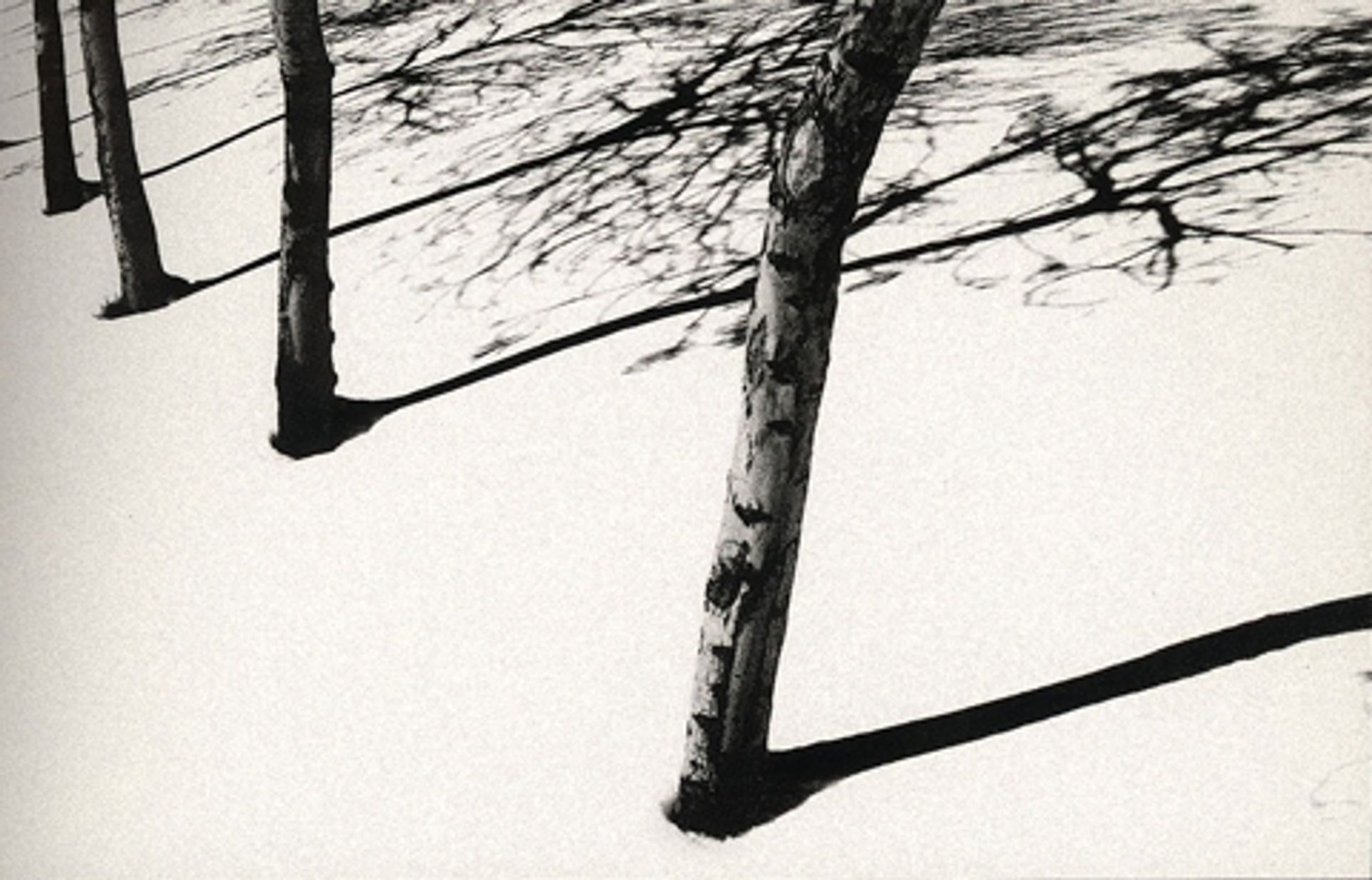 Snow White by Abbas Kiarostami
