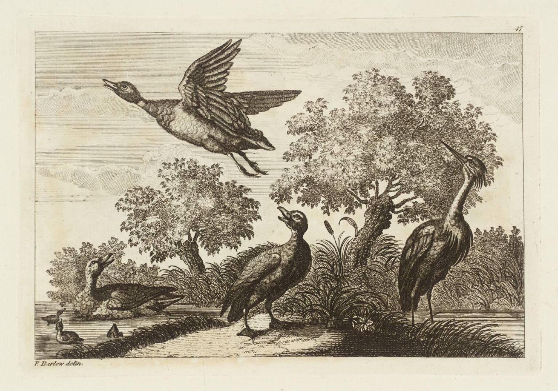 [title not known] by Francis Barlow