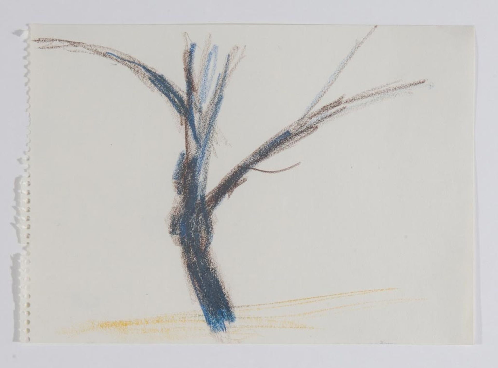 Untitled (After Nature: Tree) by Charlotte Posenenske