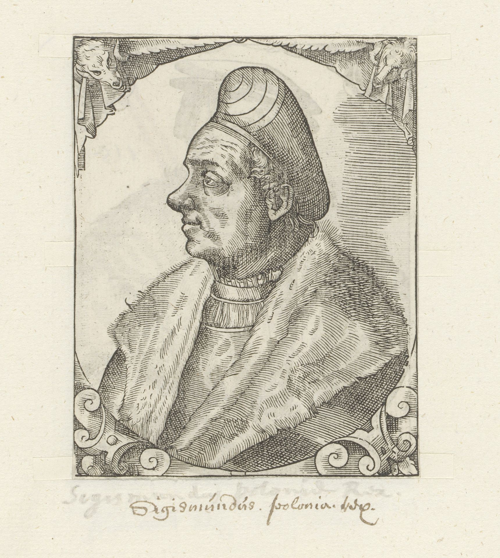 Portret van Sigismund I, koning van Polen by Anonymous