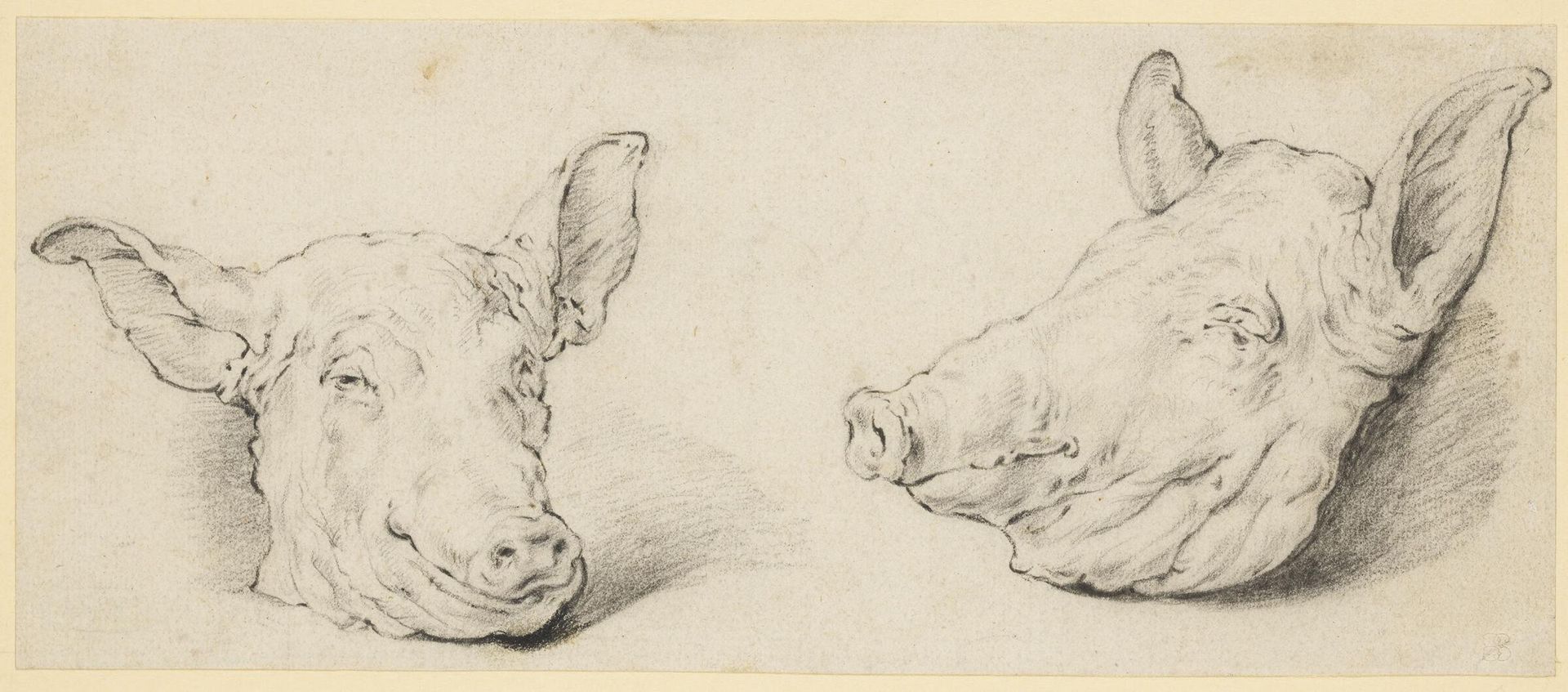 Two Pig Heads by Cornelis Saftleven