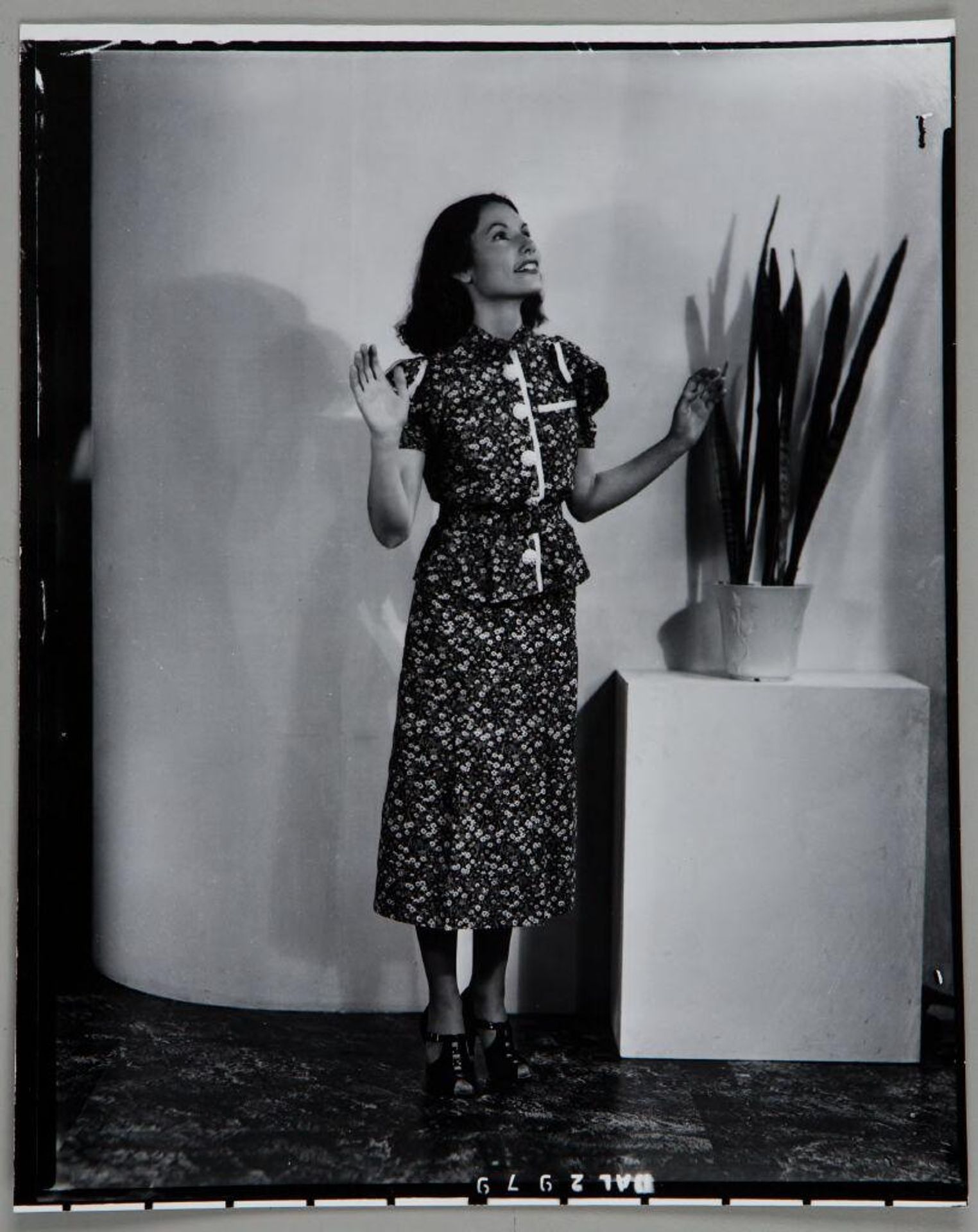 Untitled (woman in flowered dress with hand raised standing by potted plant) by Paul Gittings
