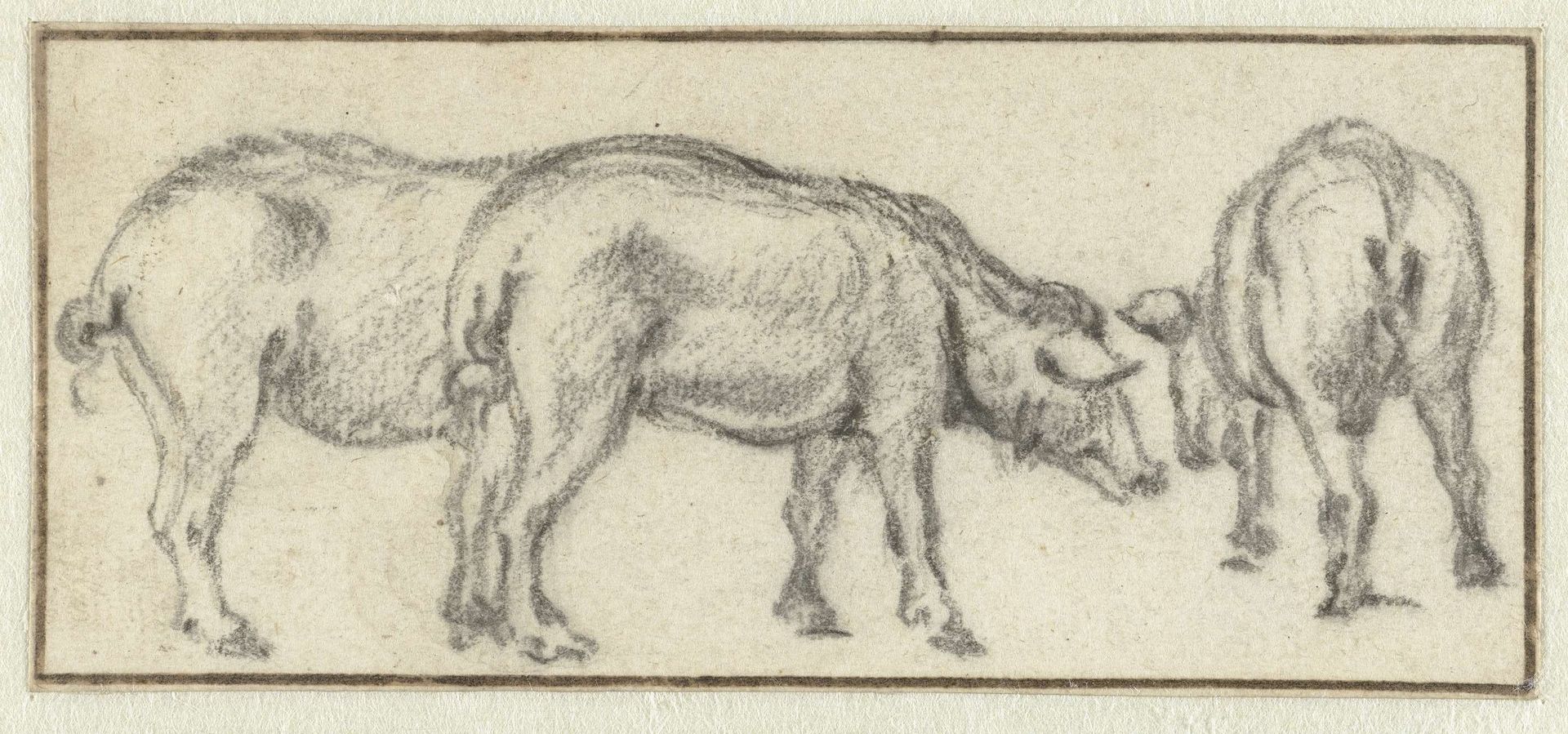 Drie varkens by Karel du Jardin