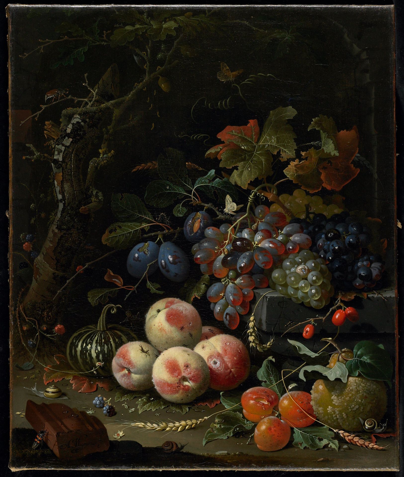 Still Life with Fruits by Abraham Mignon