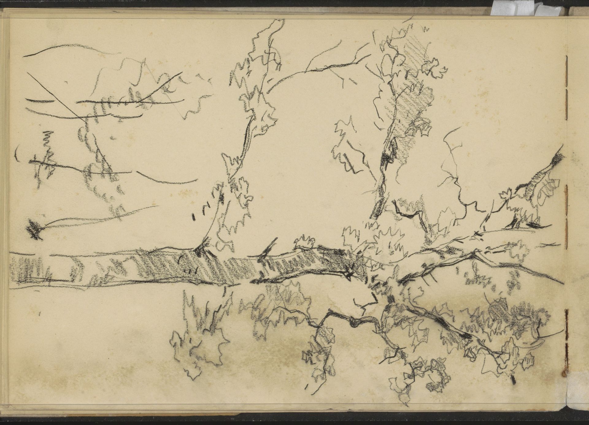 Boom in blad by Willem Bastiaan Tholen