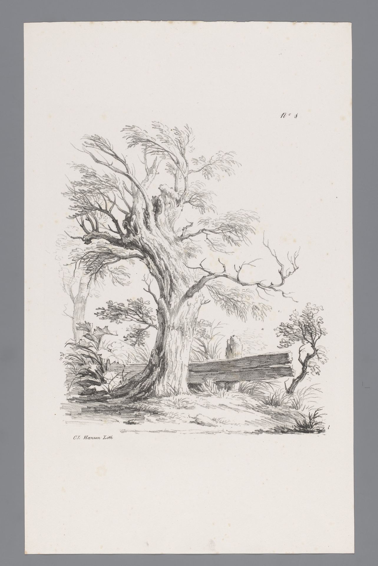 Boom met daarachter een laag hek by Carel Lodewijk Hansen