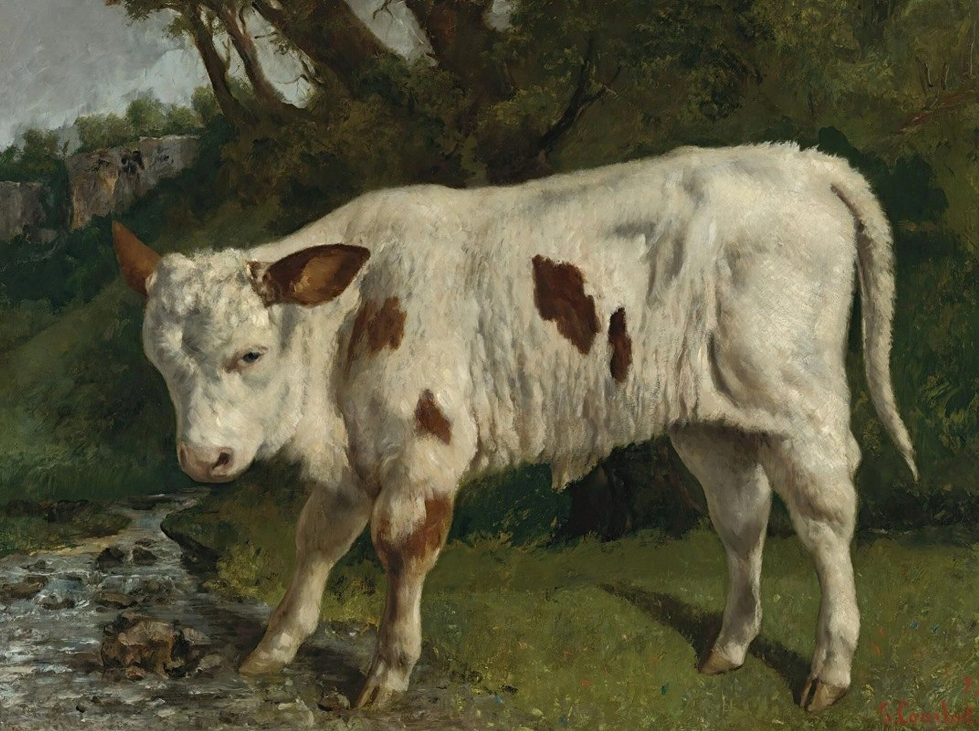 Le Veau Blanc by Gustave Courbet