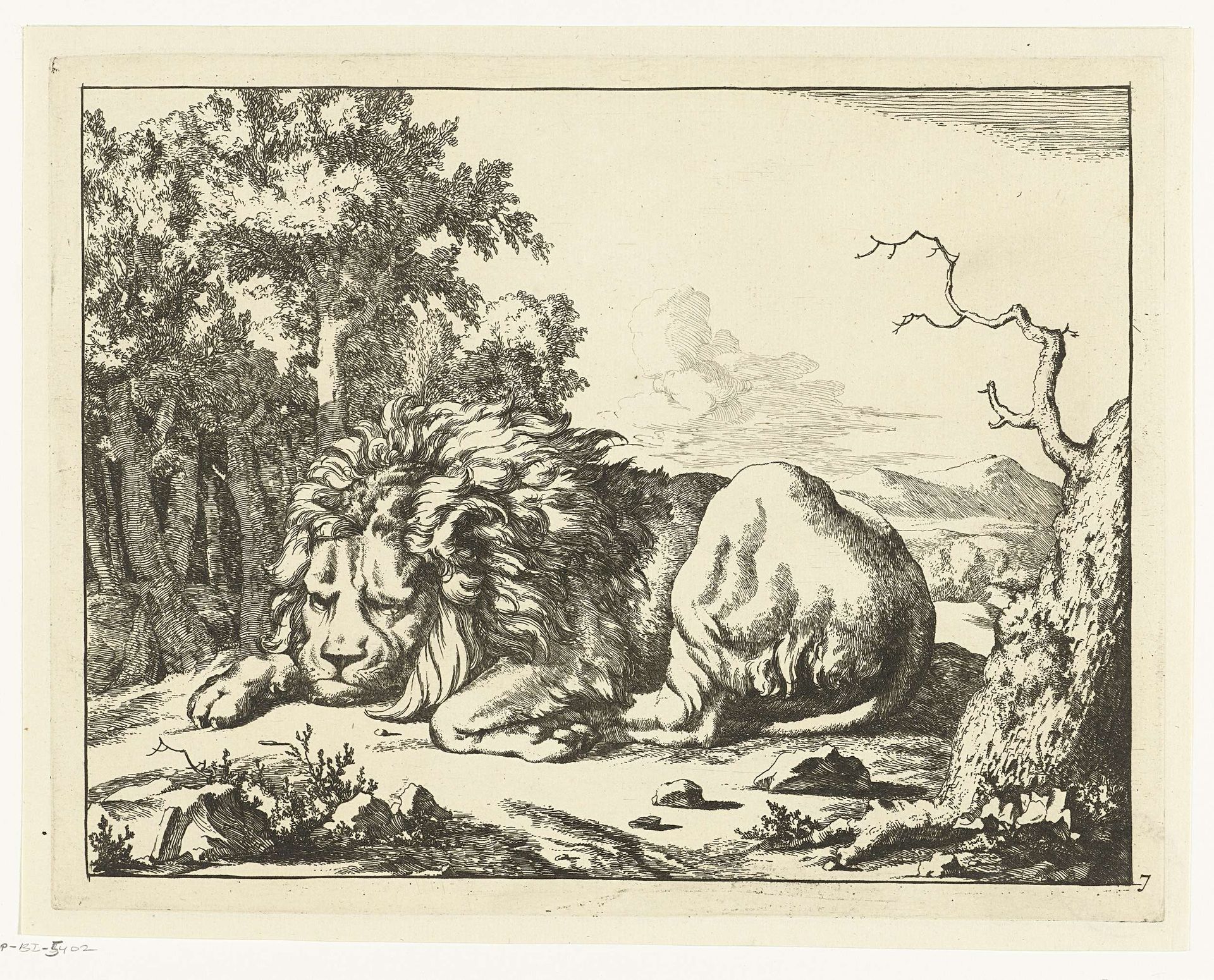 Slapende leeuw by Marcus de Bye