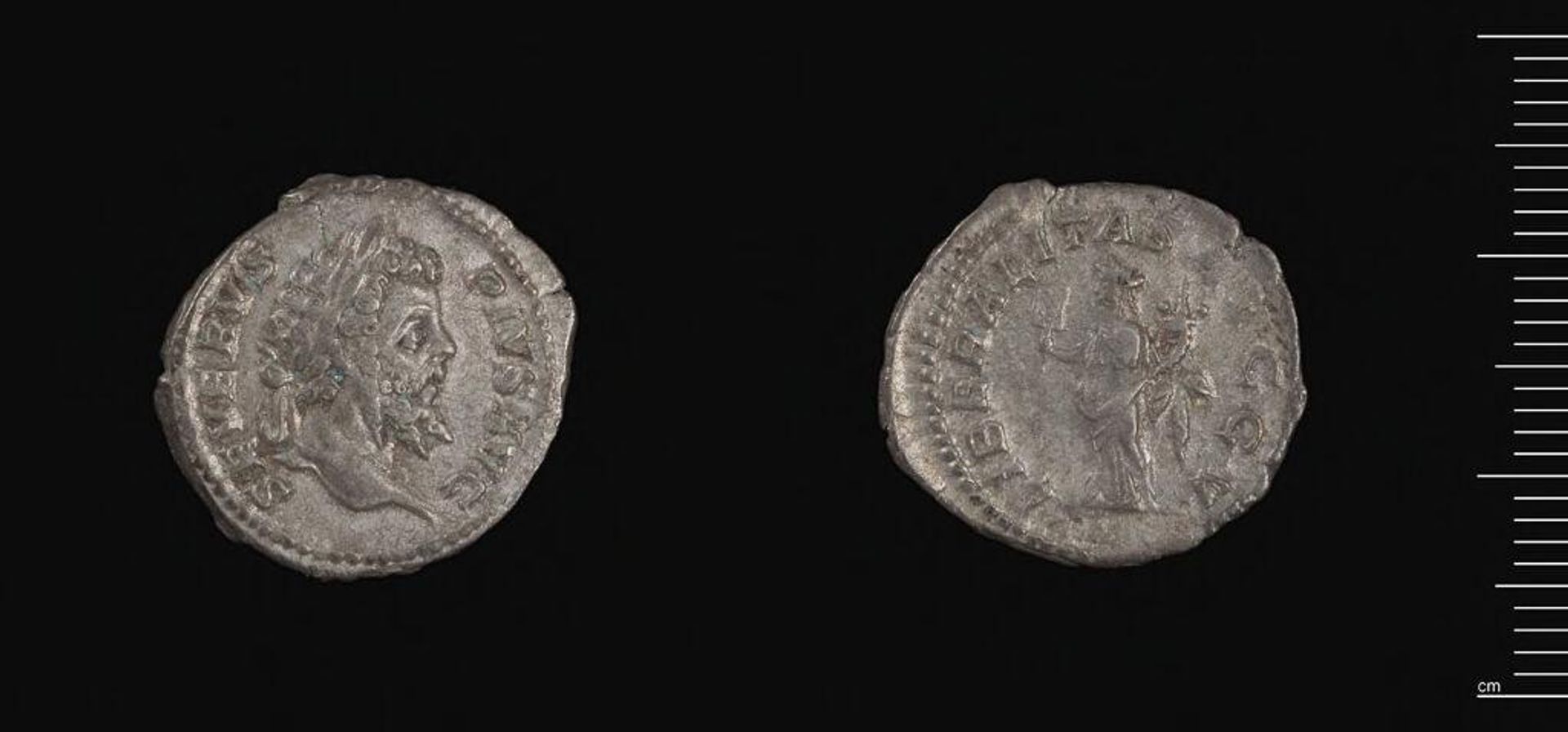 Denarius of Septimius Severus by Septimius Severus