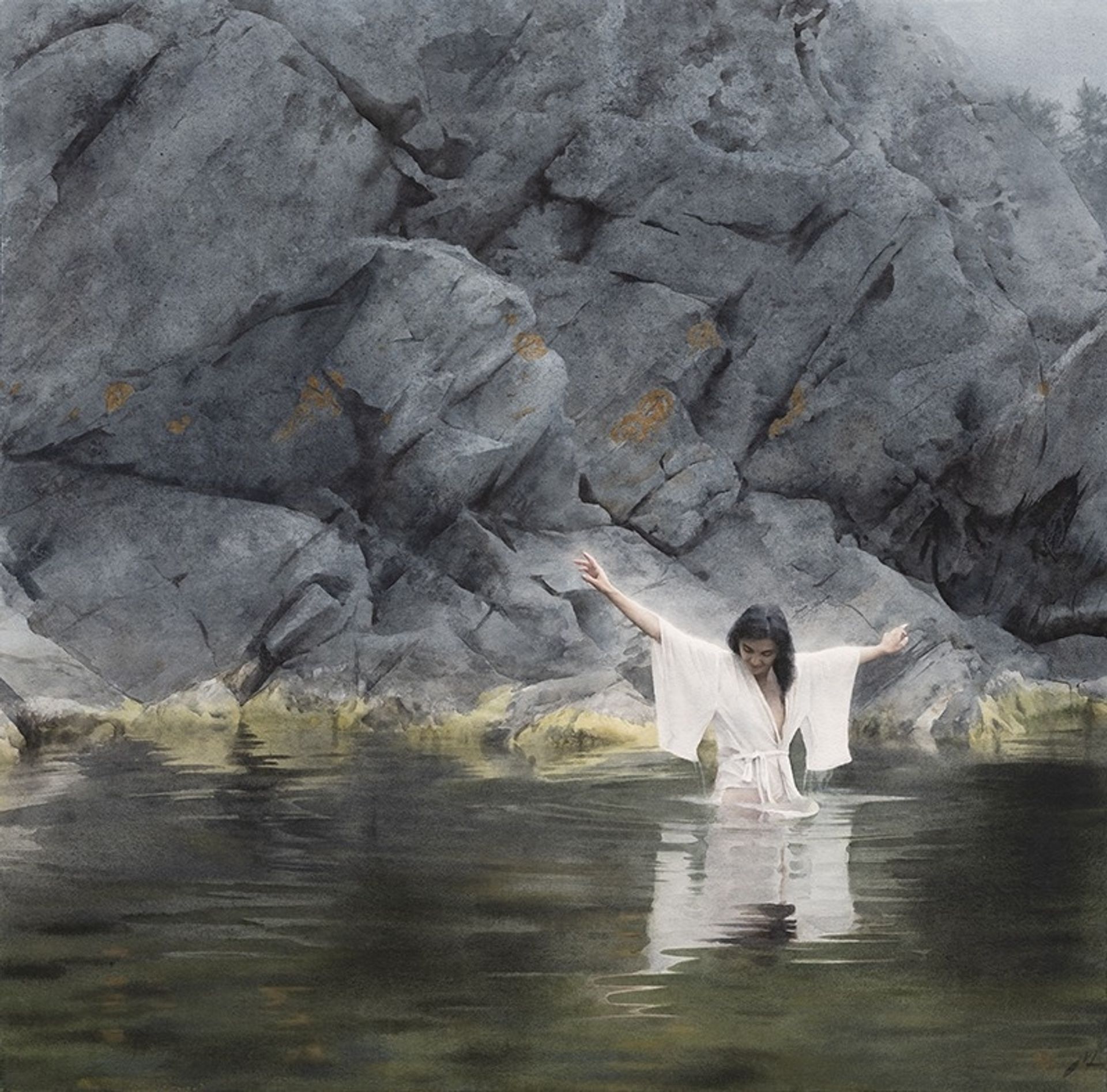 The Swan by Nick Alm