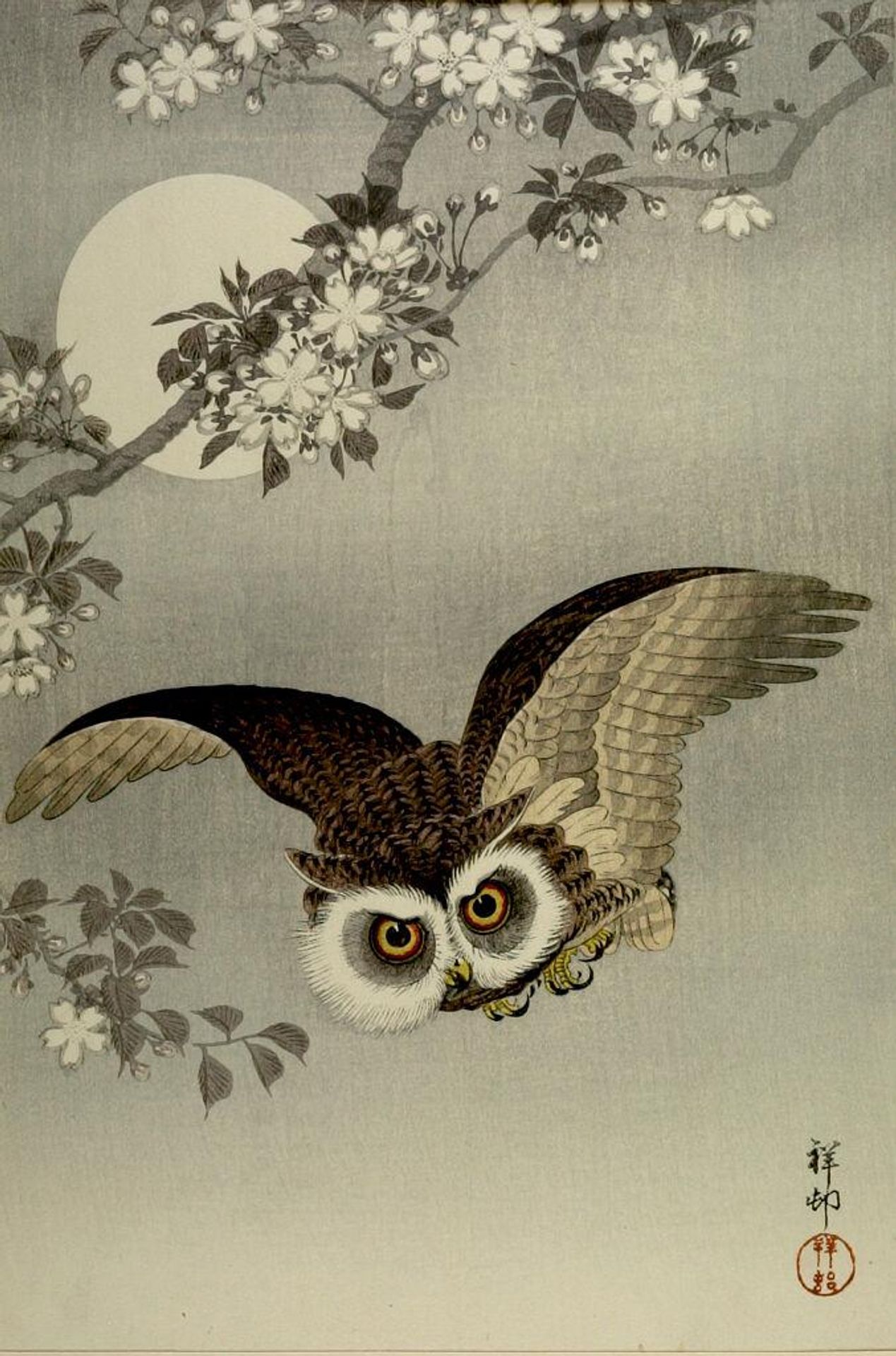 Scops Owl in Flight, Cherry Blossoms and Full Moon by Ohara Koson