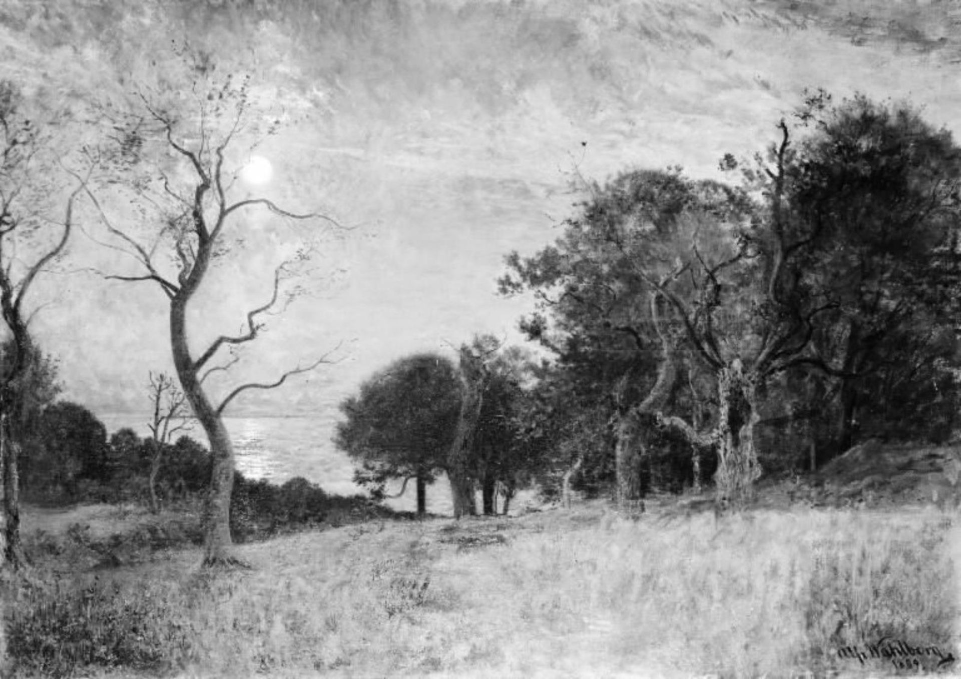 A Moonlit Night by Hallands Väderö by Alfred Wahlberg