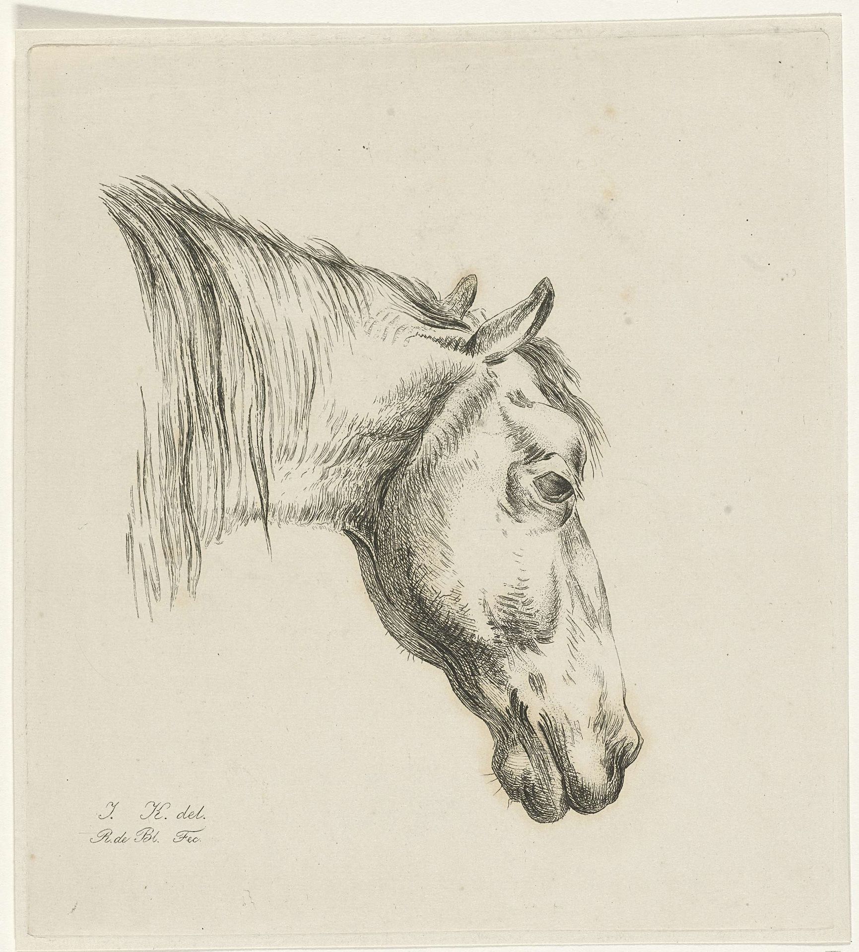 Hoofd van een paard by Reinierus Albertus Ludovicus baron van Isendoorn à Blois