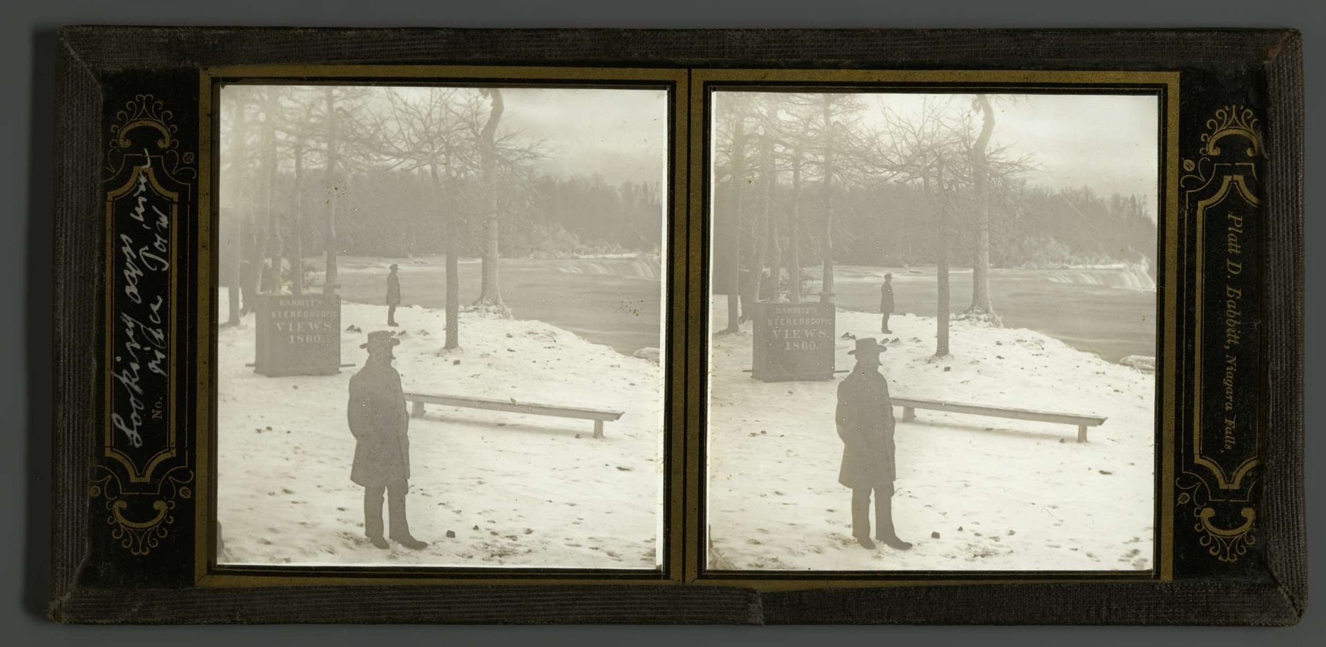 Platt D. Babbit staande voor zijn donkere tent bij de Niagarawatervallen, Noord-Amerika by Platt D. Babbitt