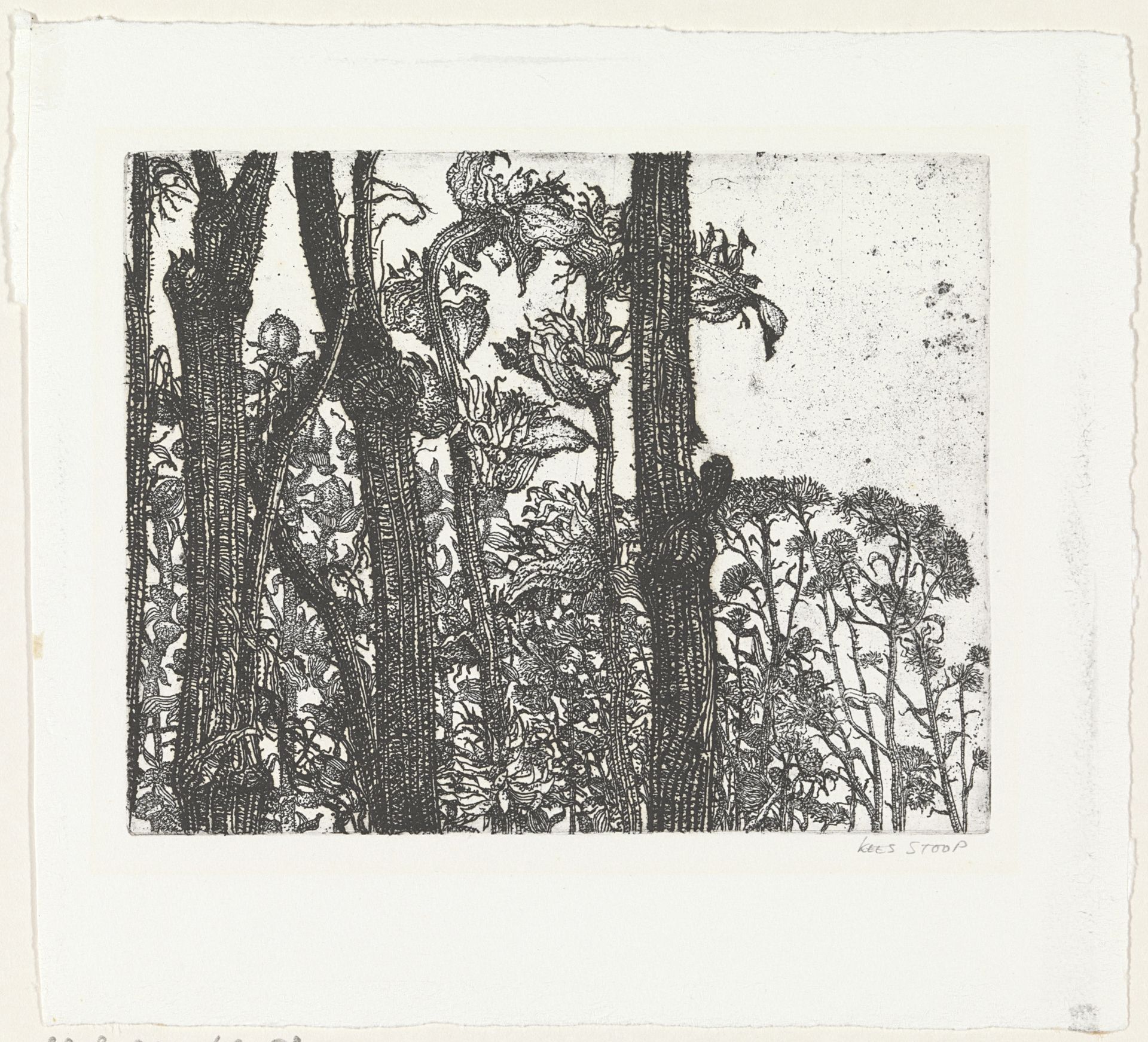 Bloemstengels by Kees Stoop