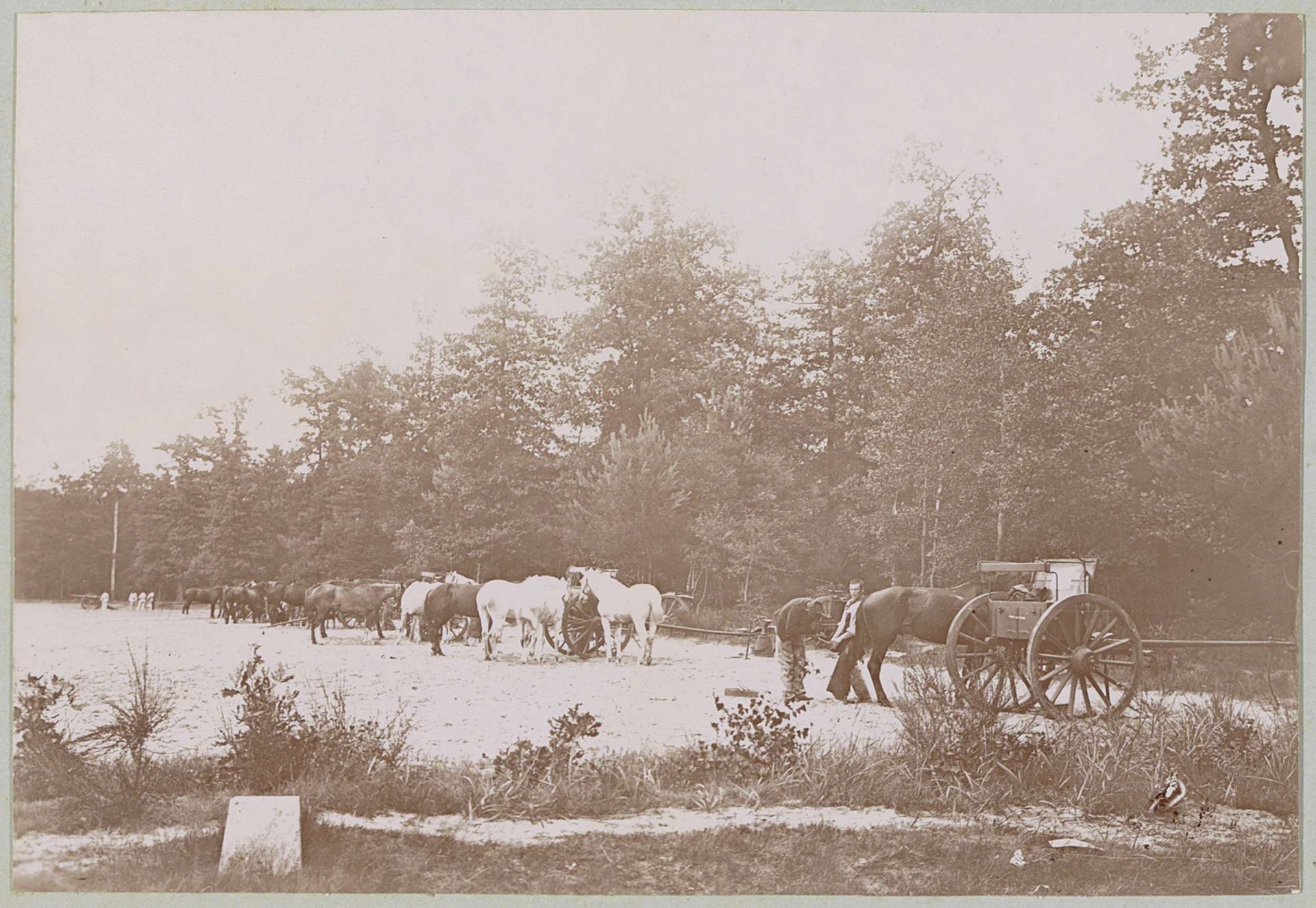 Paarden en wagens in een legerkamp te Fontainebleau by Delizy