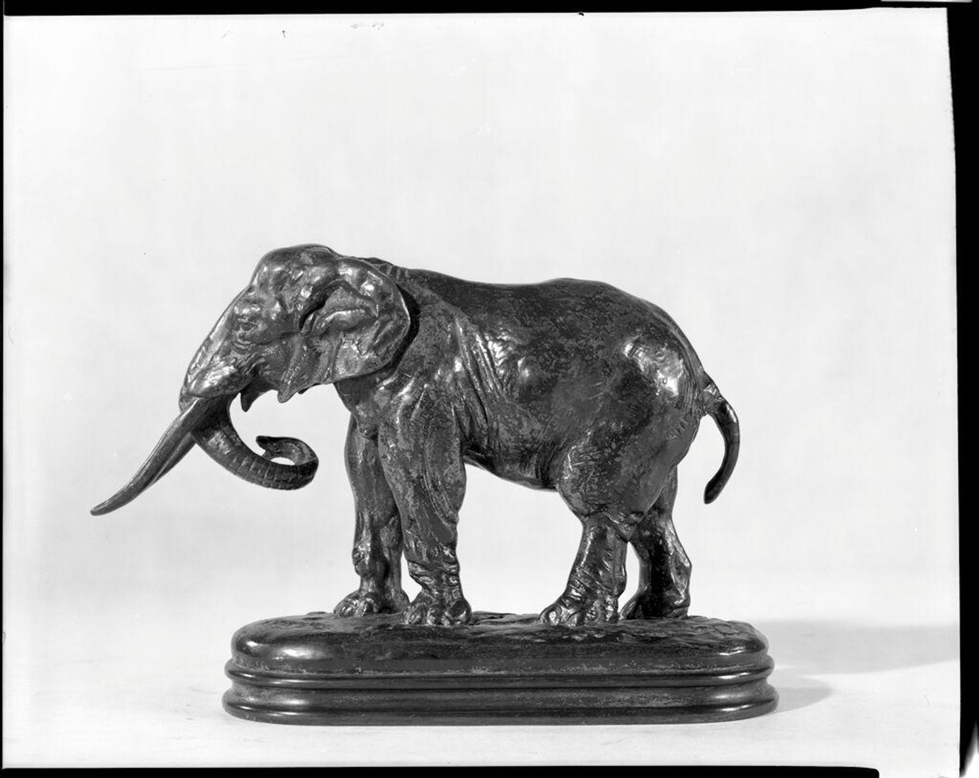 Elephant of Africa by Antoine Louis Barye