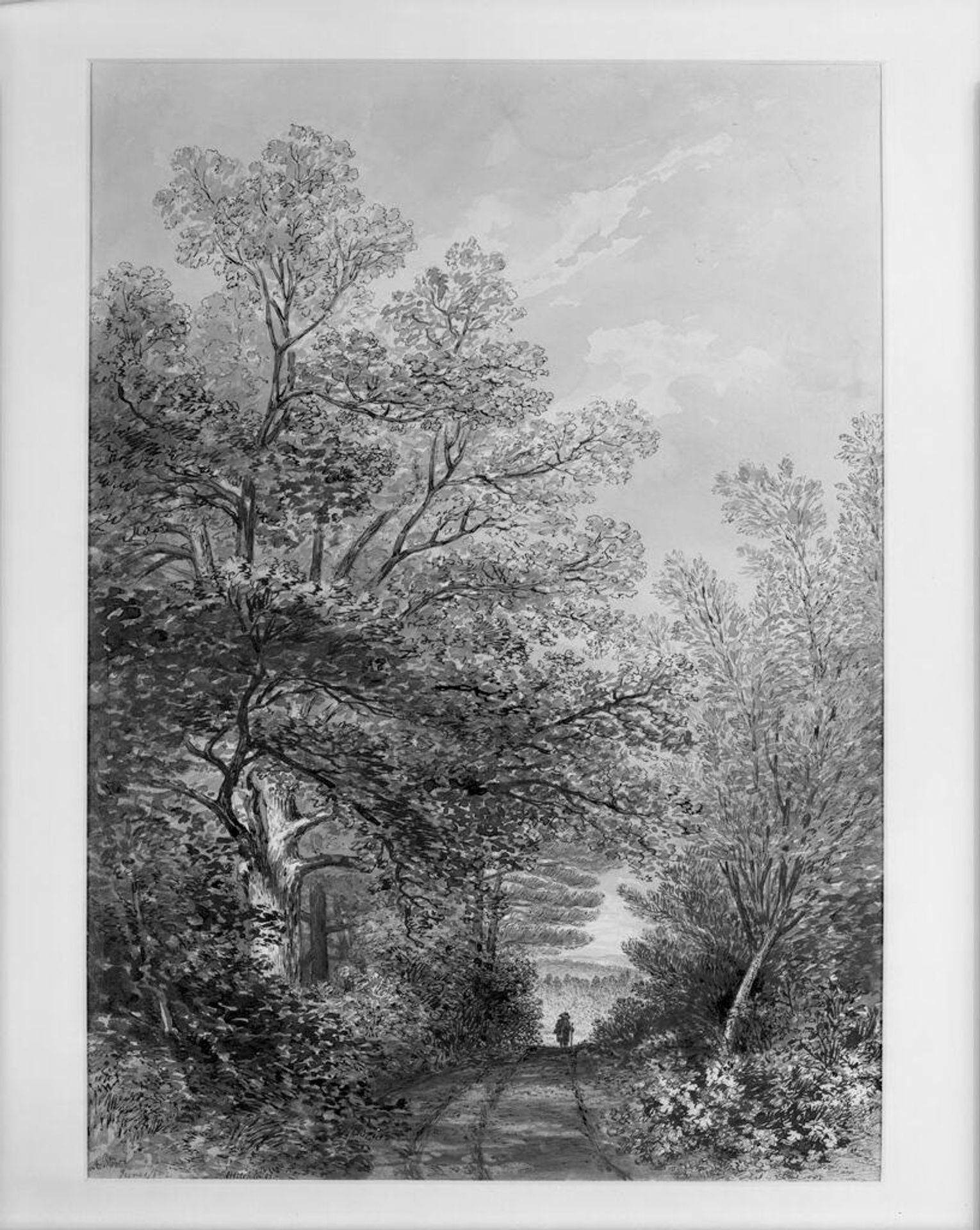 Landscape with a Road through a Forest, Stow, Massachusetts by Henry Hitchings