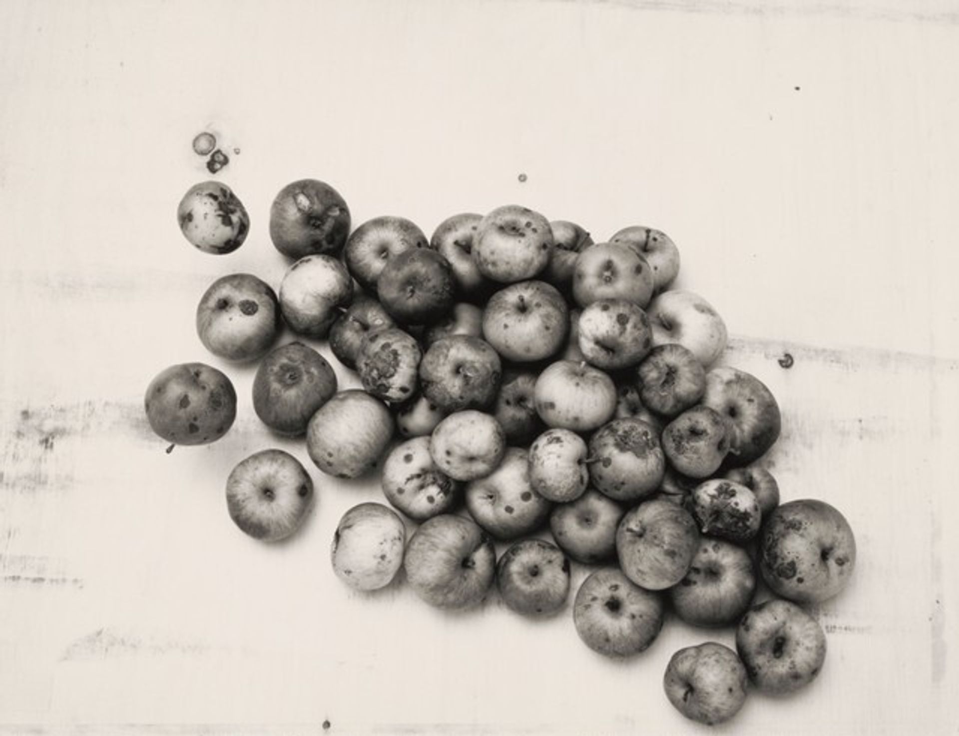 Crabapples by Volker Seding