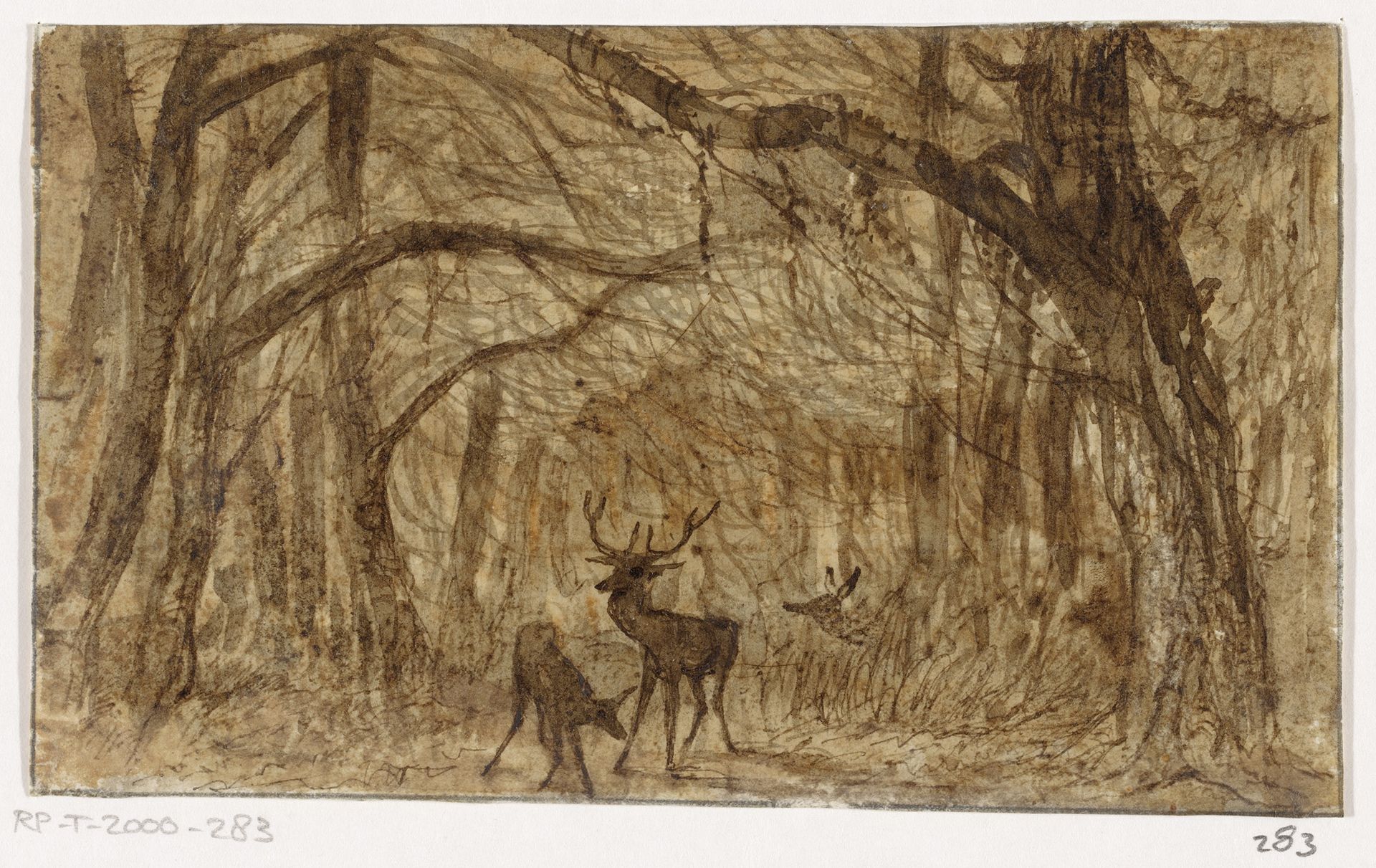 Boslandschap met herten by Johannes Tavenraat