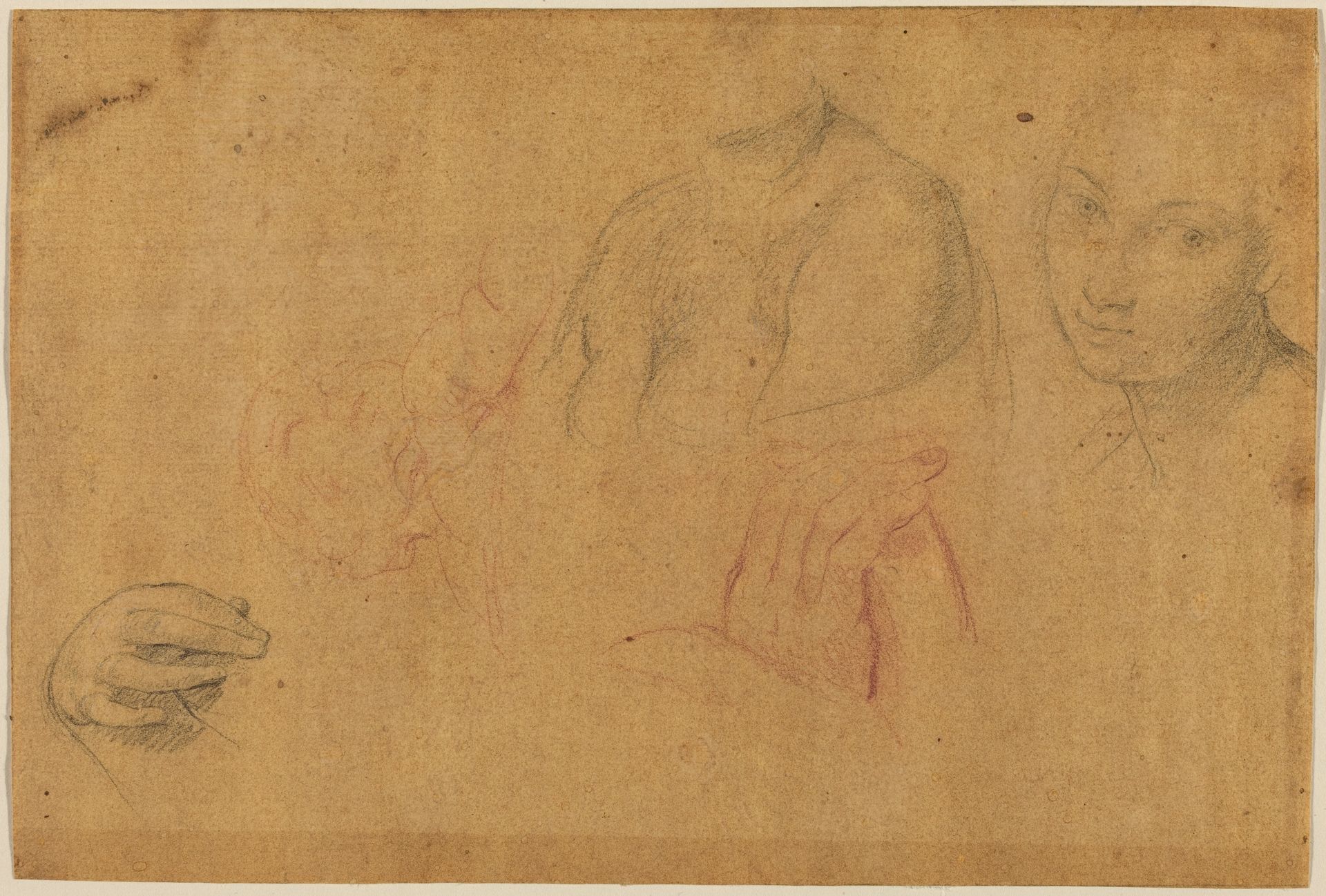 Sketches of Heads and Hands by Pompeo Batoni