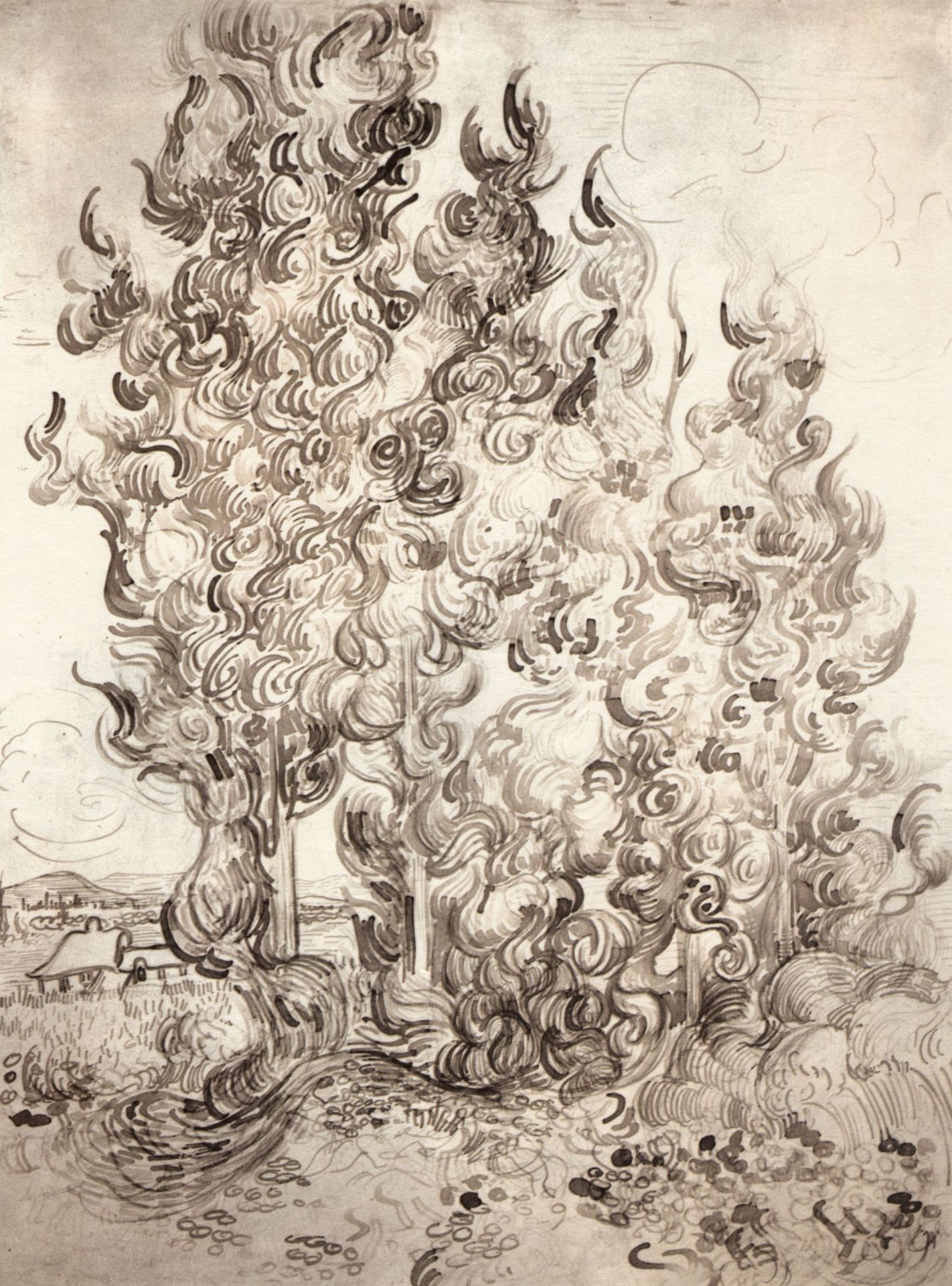 Cypresses by Vincent van Gogh