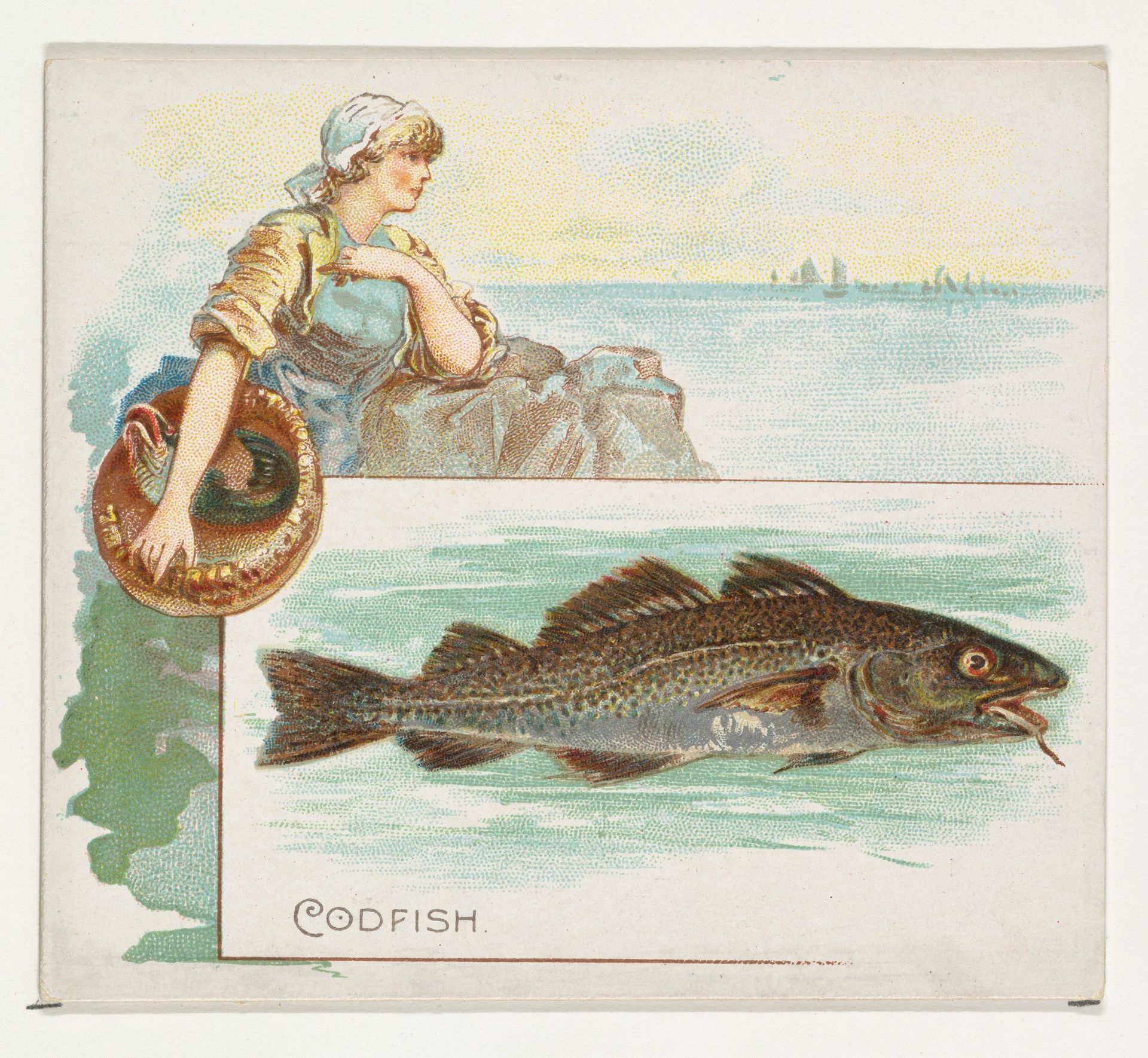 Codfish, from Fish from American Waters series (N39) for Allen & Ginter Cigarettes by Allen & Ginter