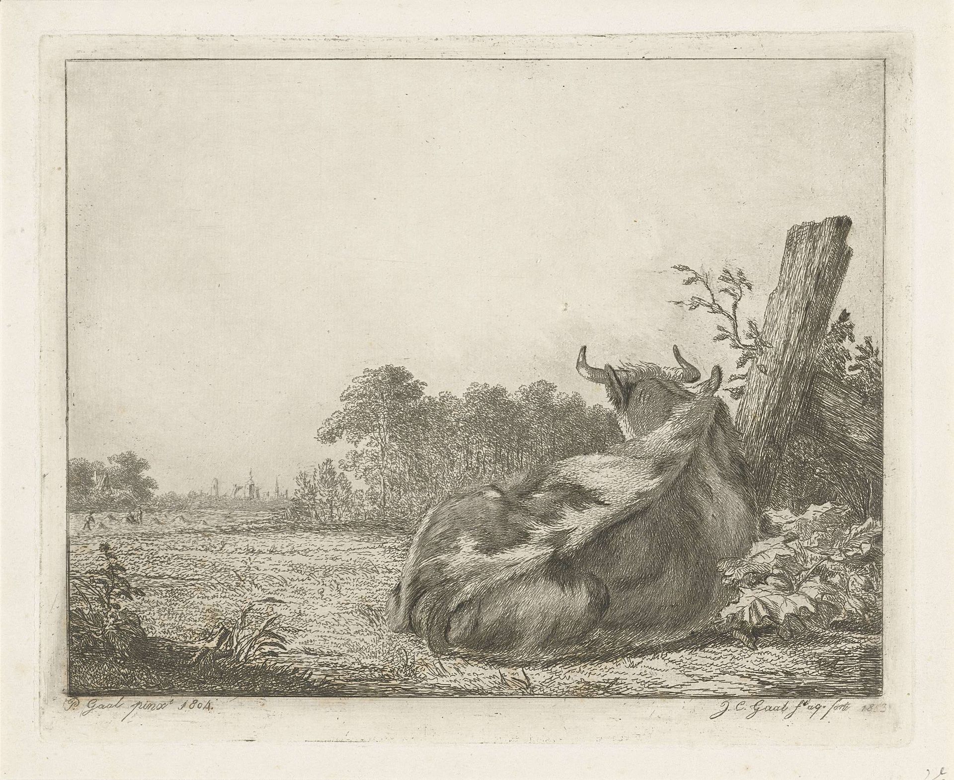 Bonte koe, liggend bij een houten paal by Jacobus Cornelis Gaal