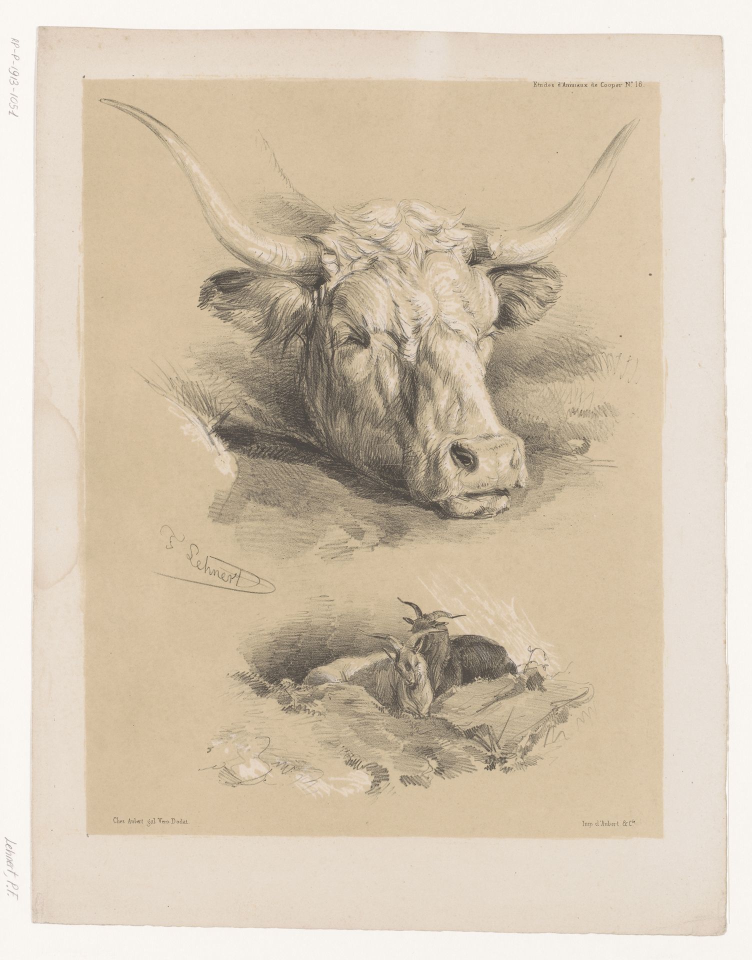 Studies van de kop van een rund en twee bokken by Pierre Frédéric Lehnert