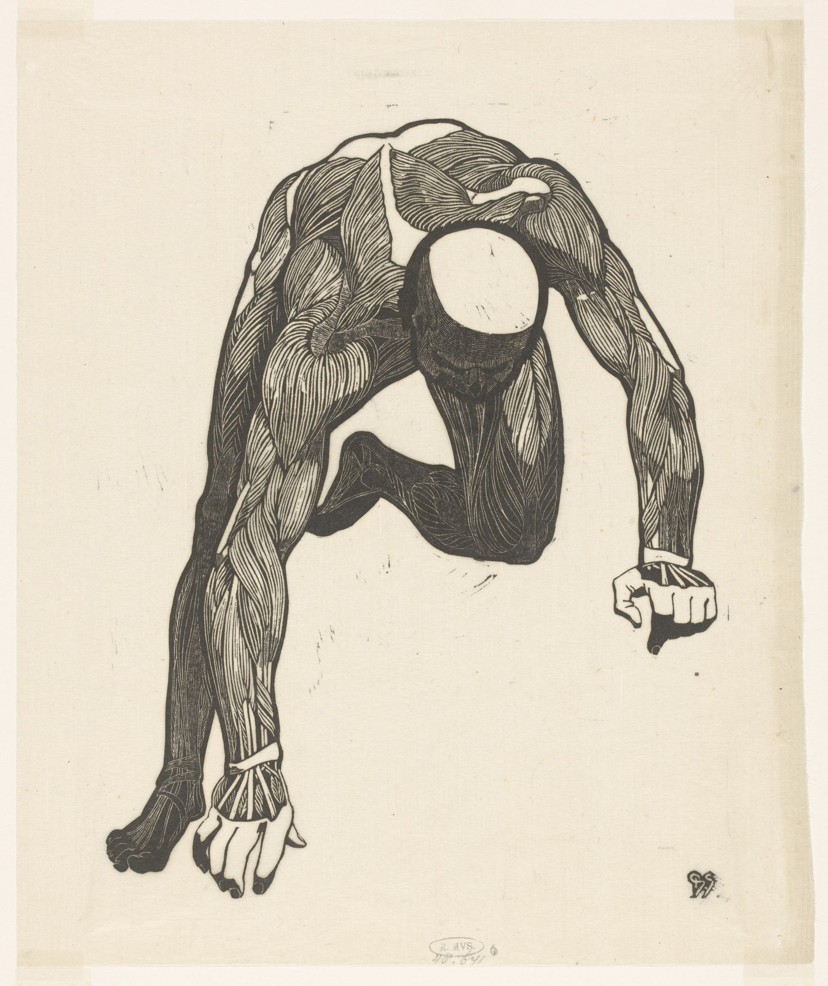 Anatomische studie van de hals-, arm- en beenspieren van een man by Reijer Stolk