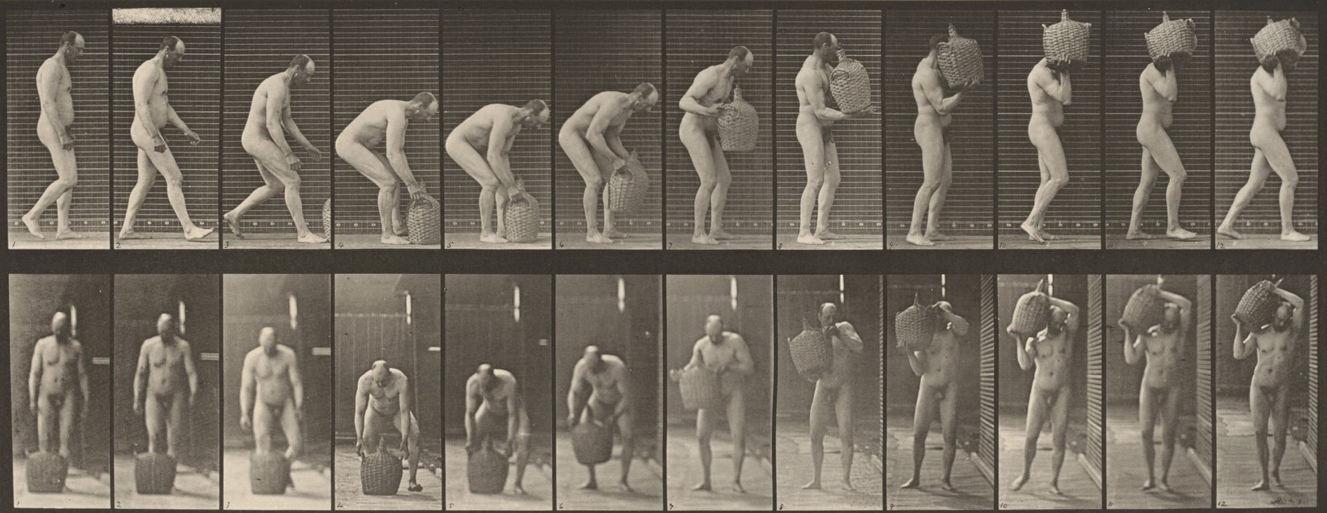 Plate Number 218. Stooping and lifting a full demijohn to shoulder by Eadweard Muybridge